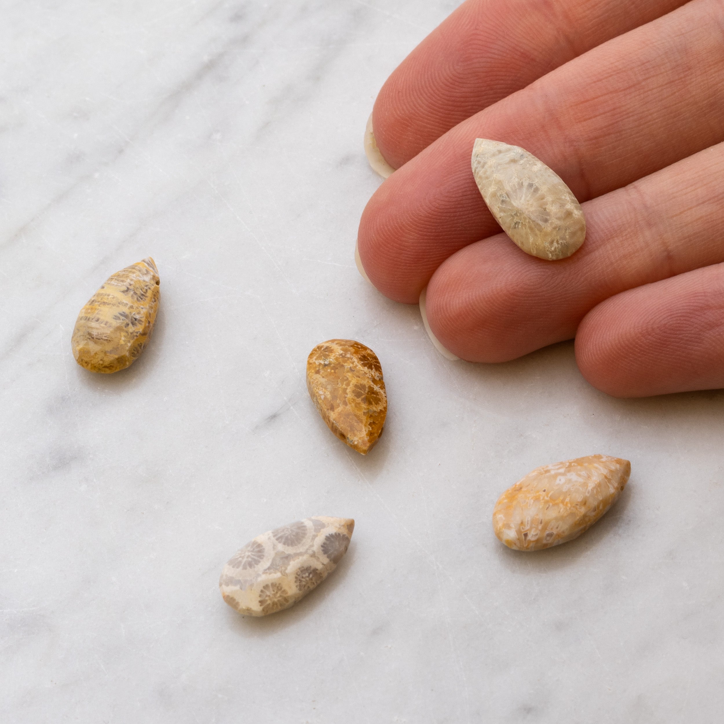 Fossilised Coral Faceted Teardrop Briolette Beads - From 8mm