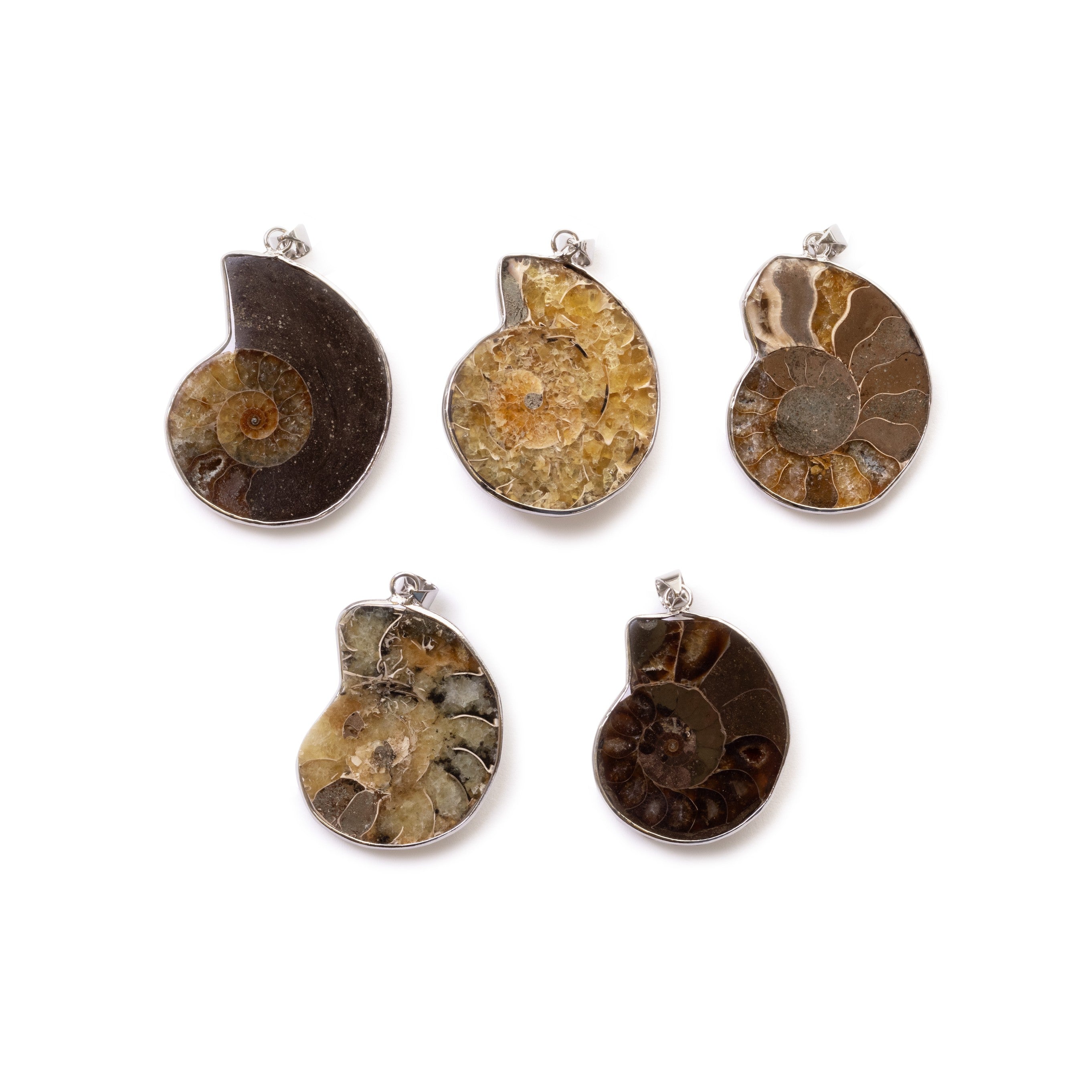 Ready To Wear Ammonite Pendants