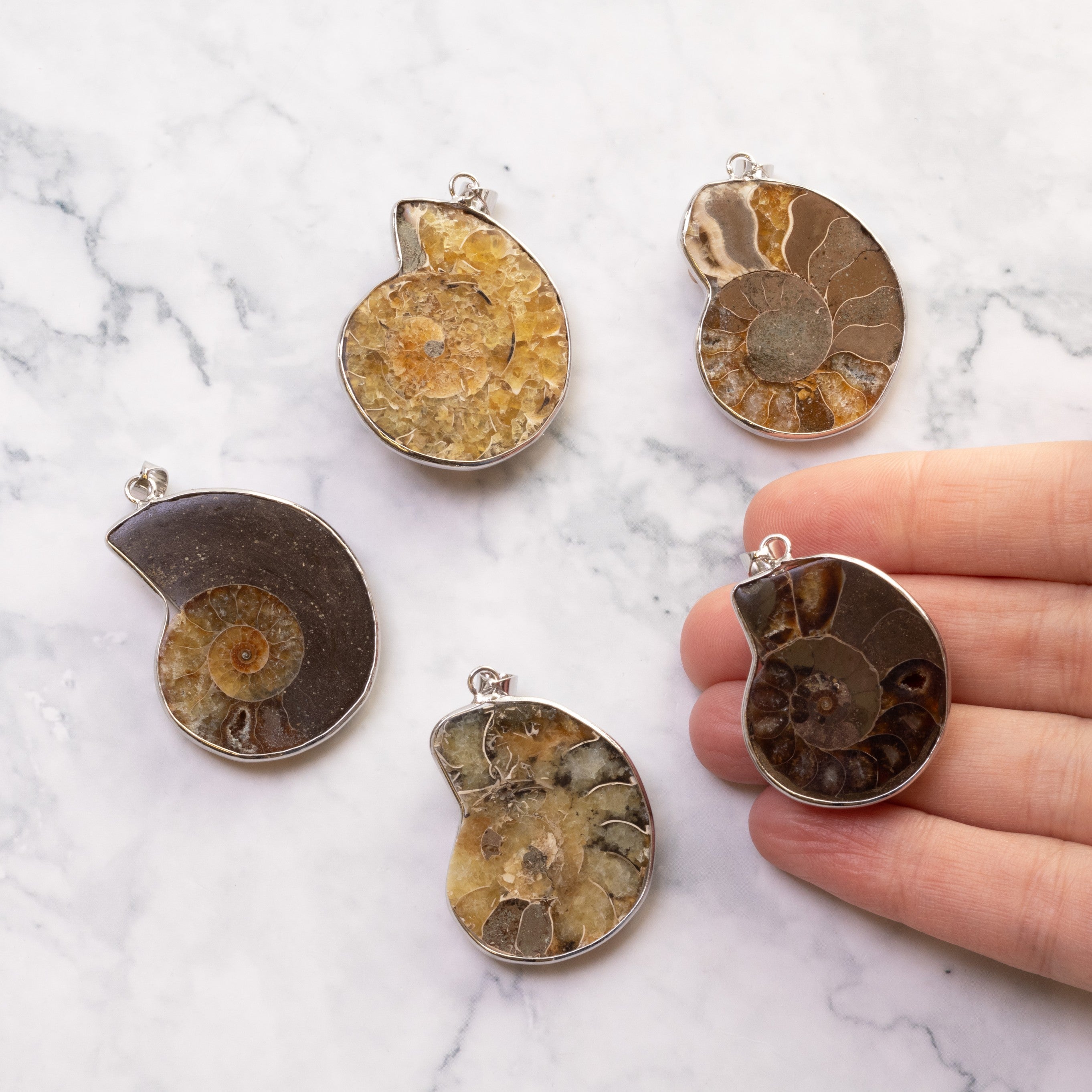 Ready To Wear Ammonite Pendants