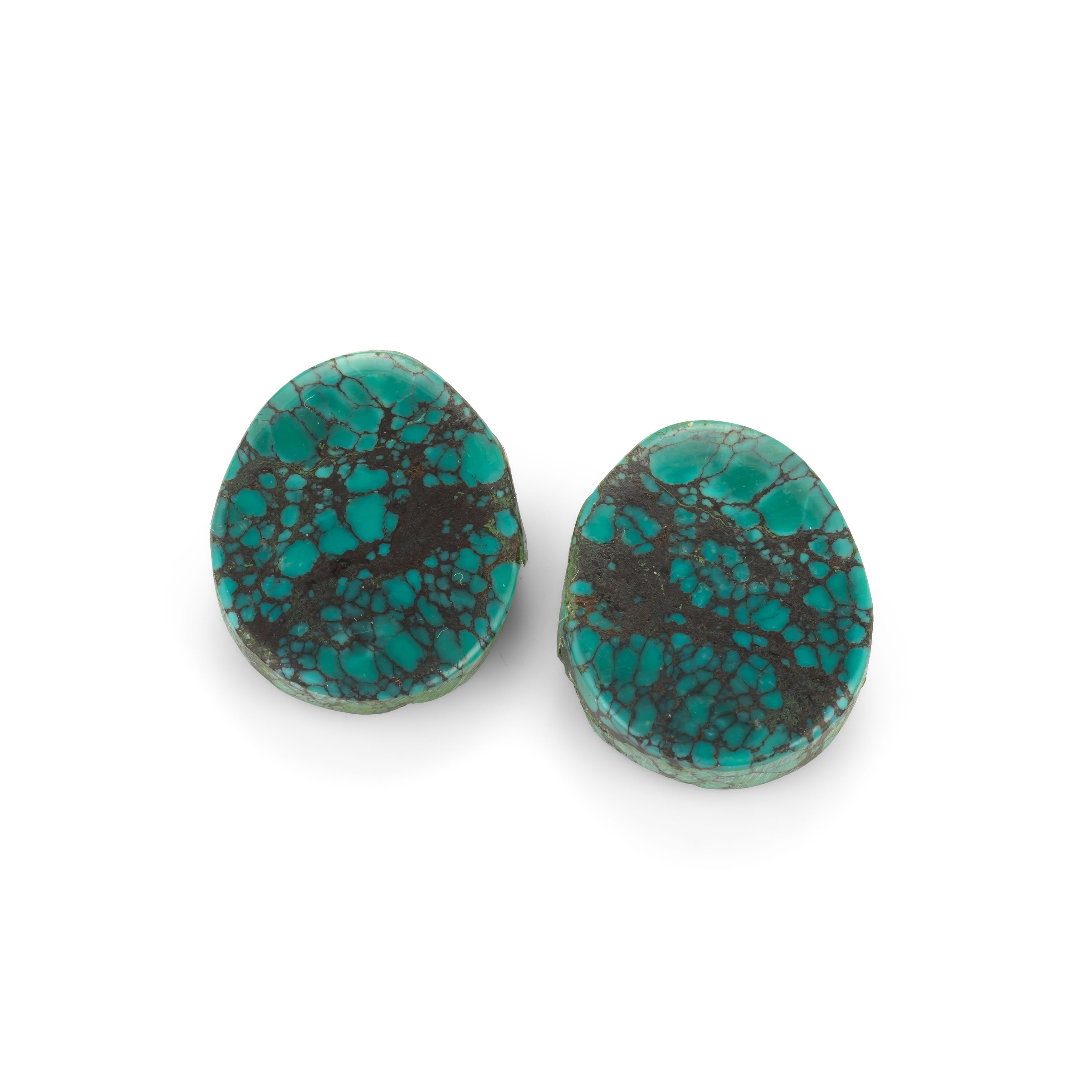 Pair of Turquoise Freeform Cabochons