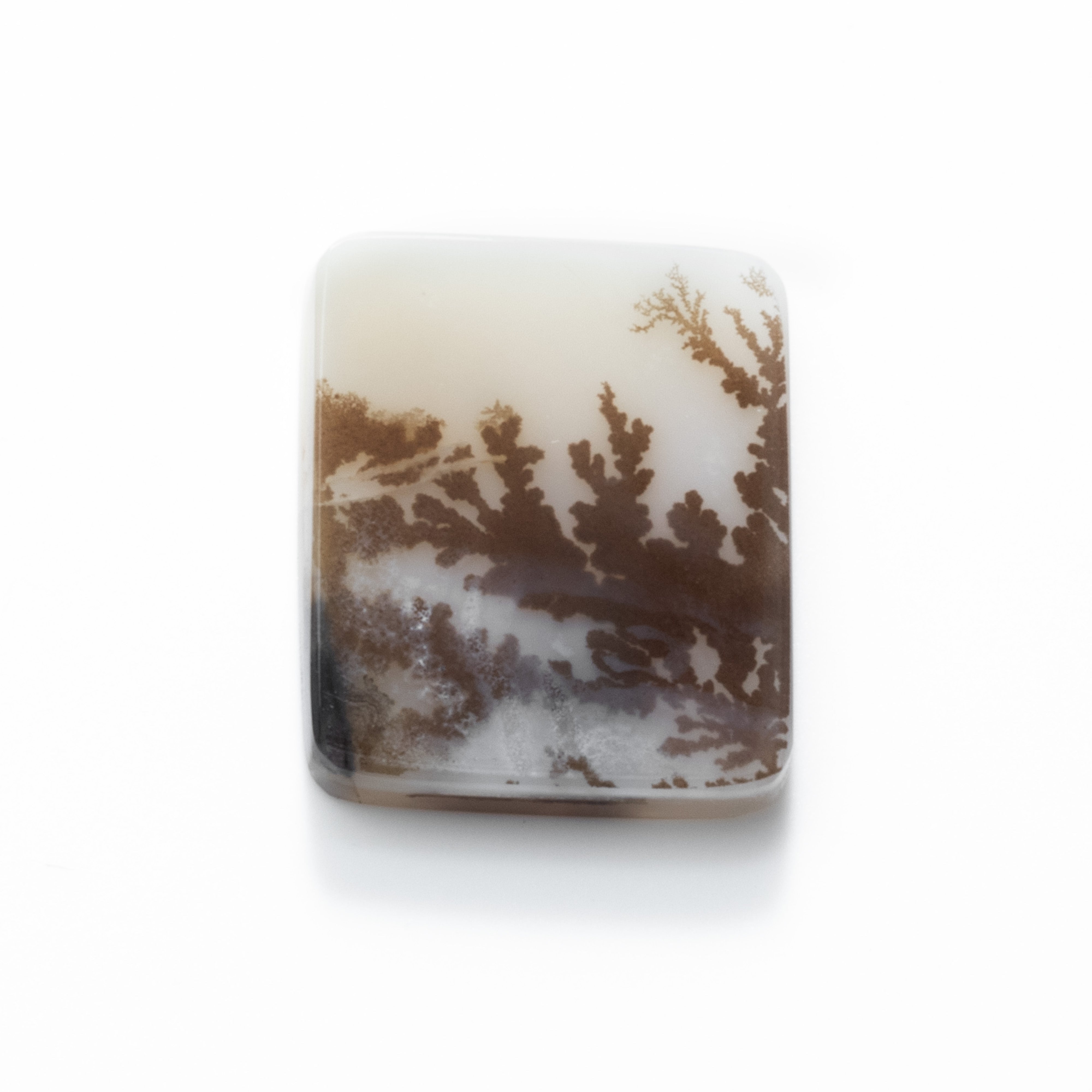 Dendrite Agate Flat Plate Freeform Cabochon