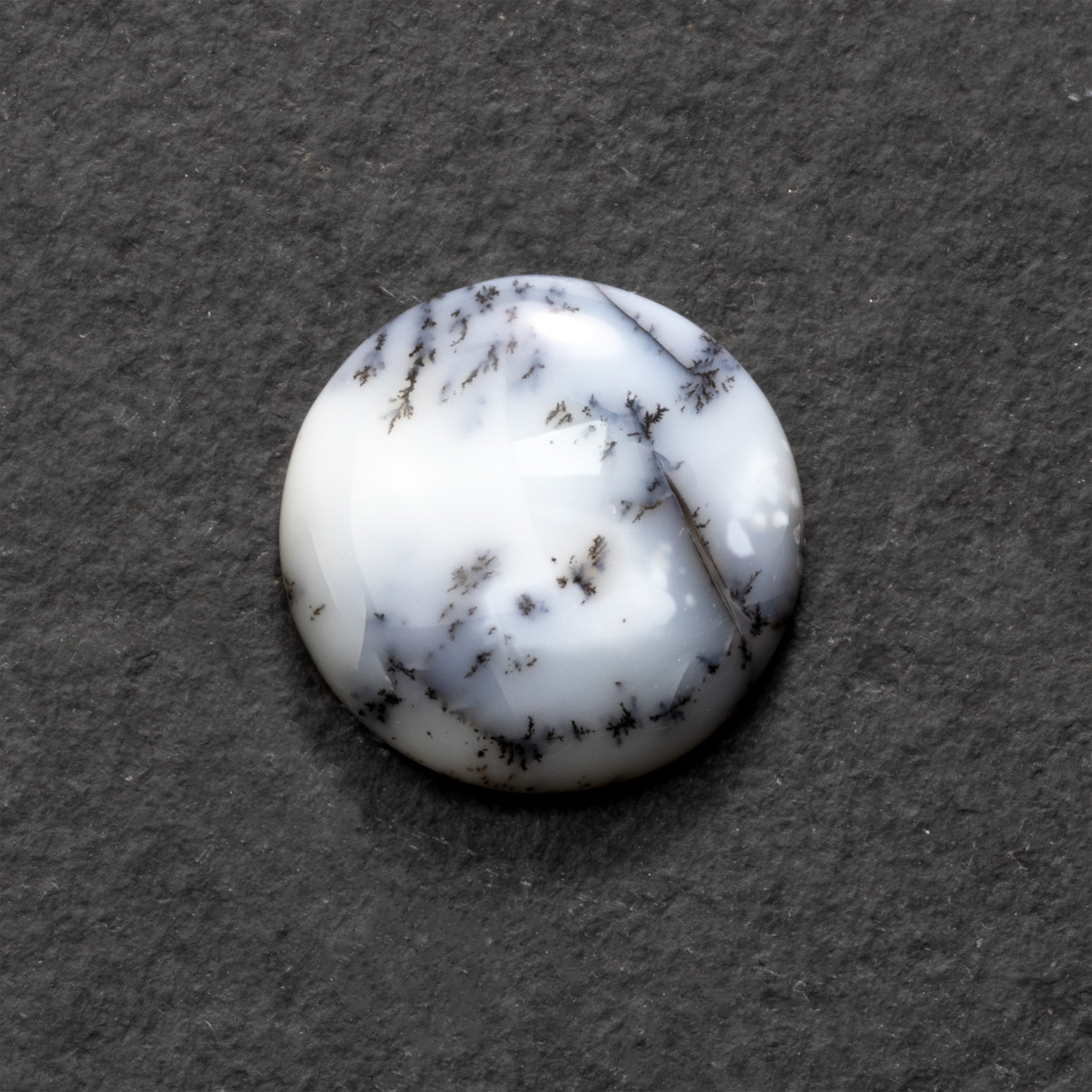 Dendrite Opal Freeform Cabochon Collection 1