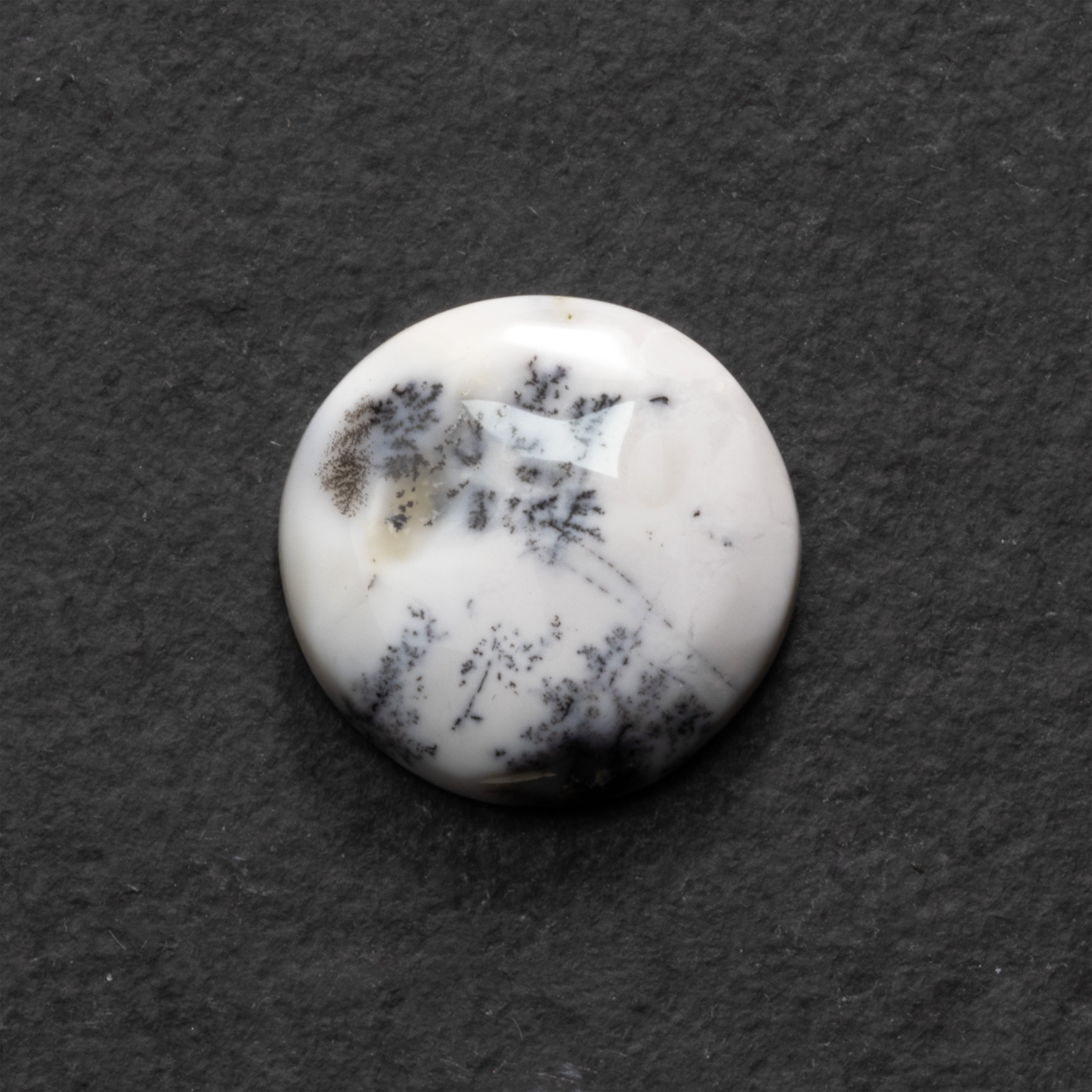 Dendrite Opal Freeform Cabochon Collection 2