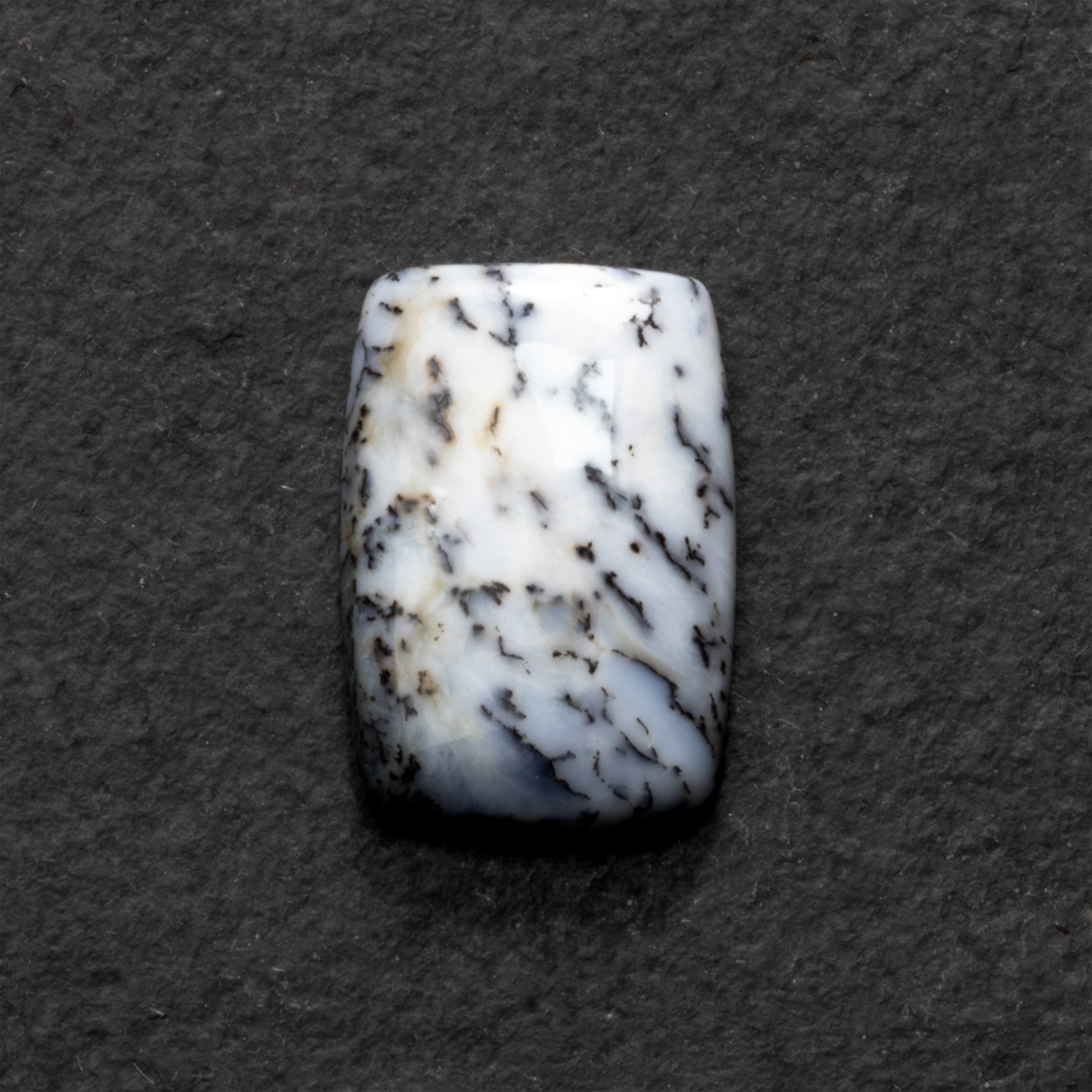 Dendrite Opal Freeform Cabochon Collection 2