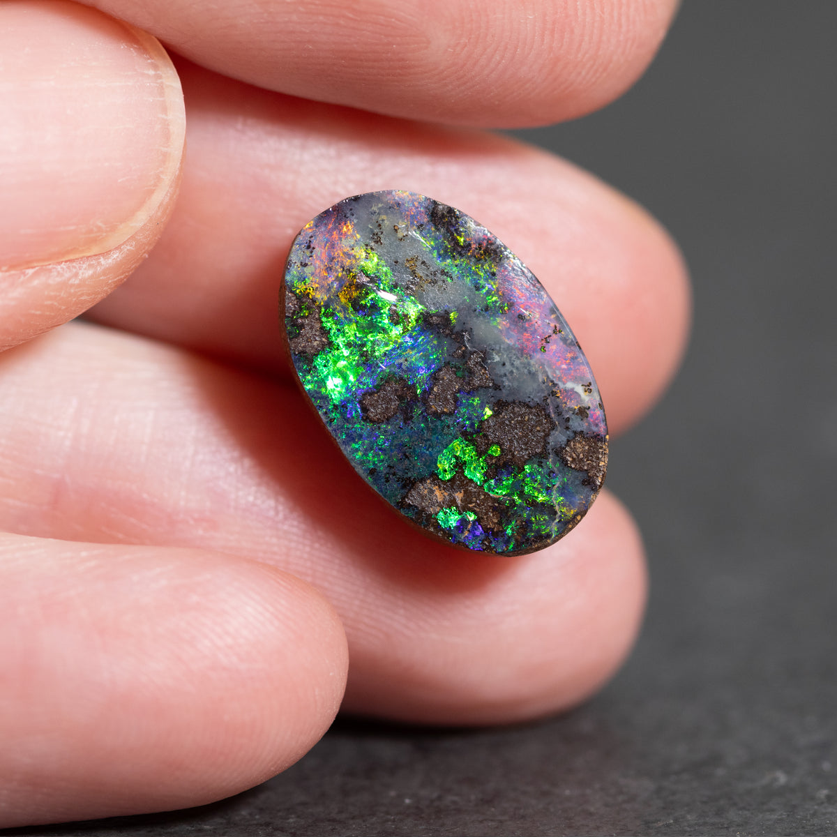 Australian Boulder Freeform Opal Cabochon 17x11mm