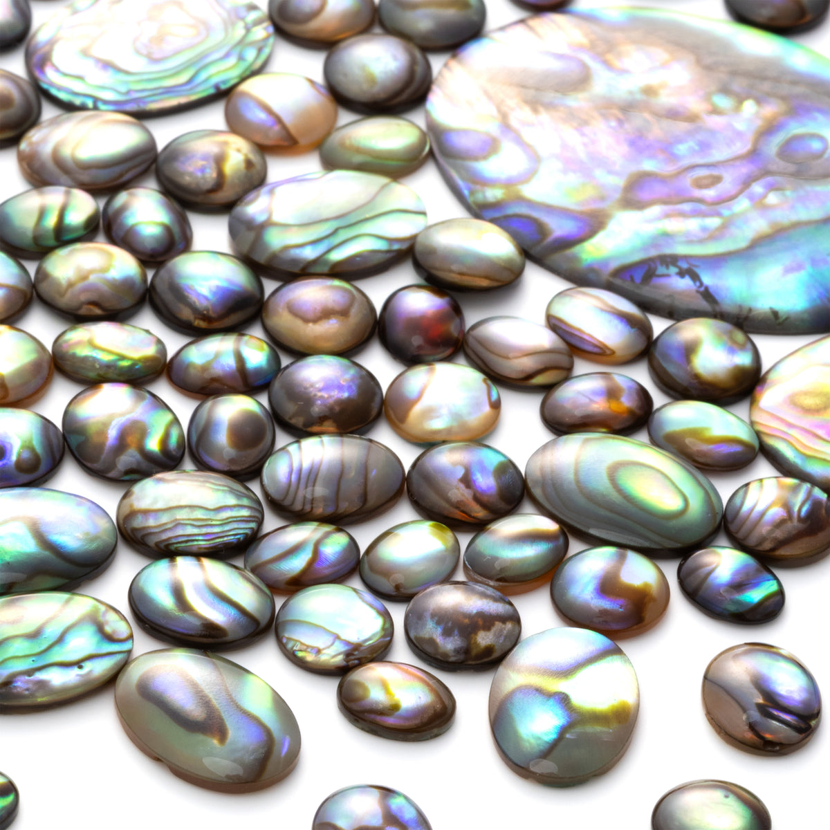 Natural Paua Shell Cabochons