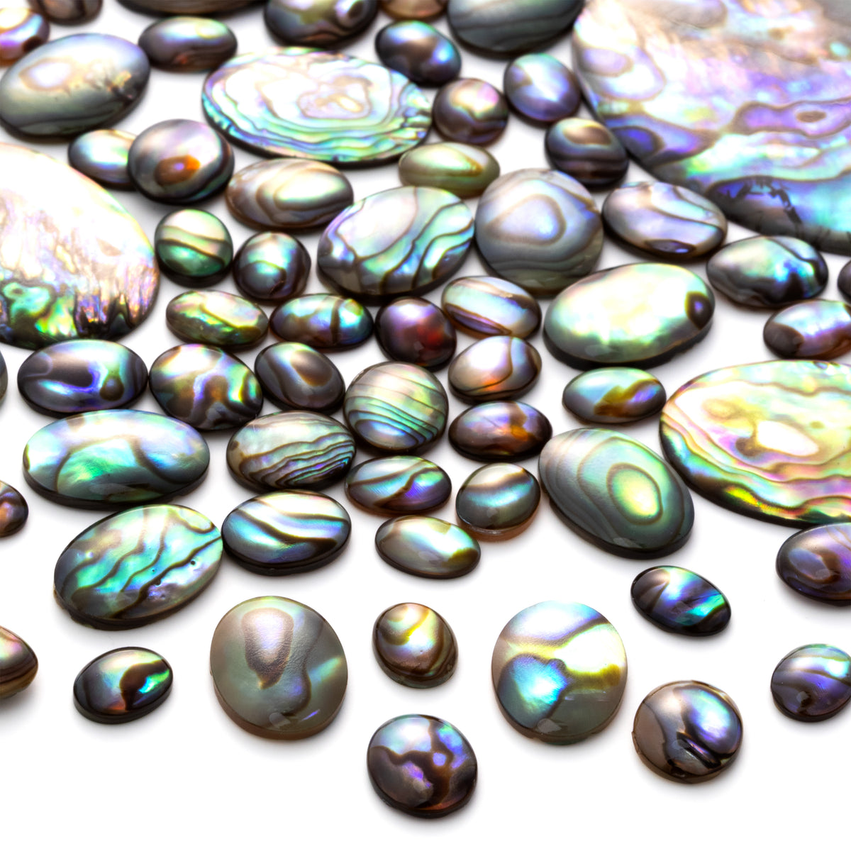 Natural Paua Shell Cabochons