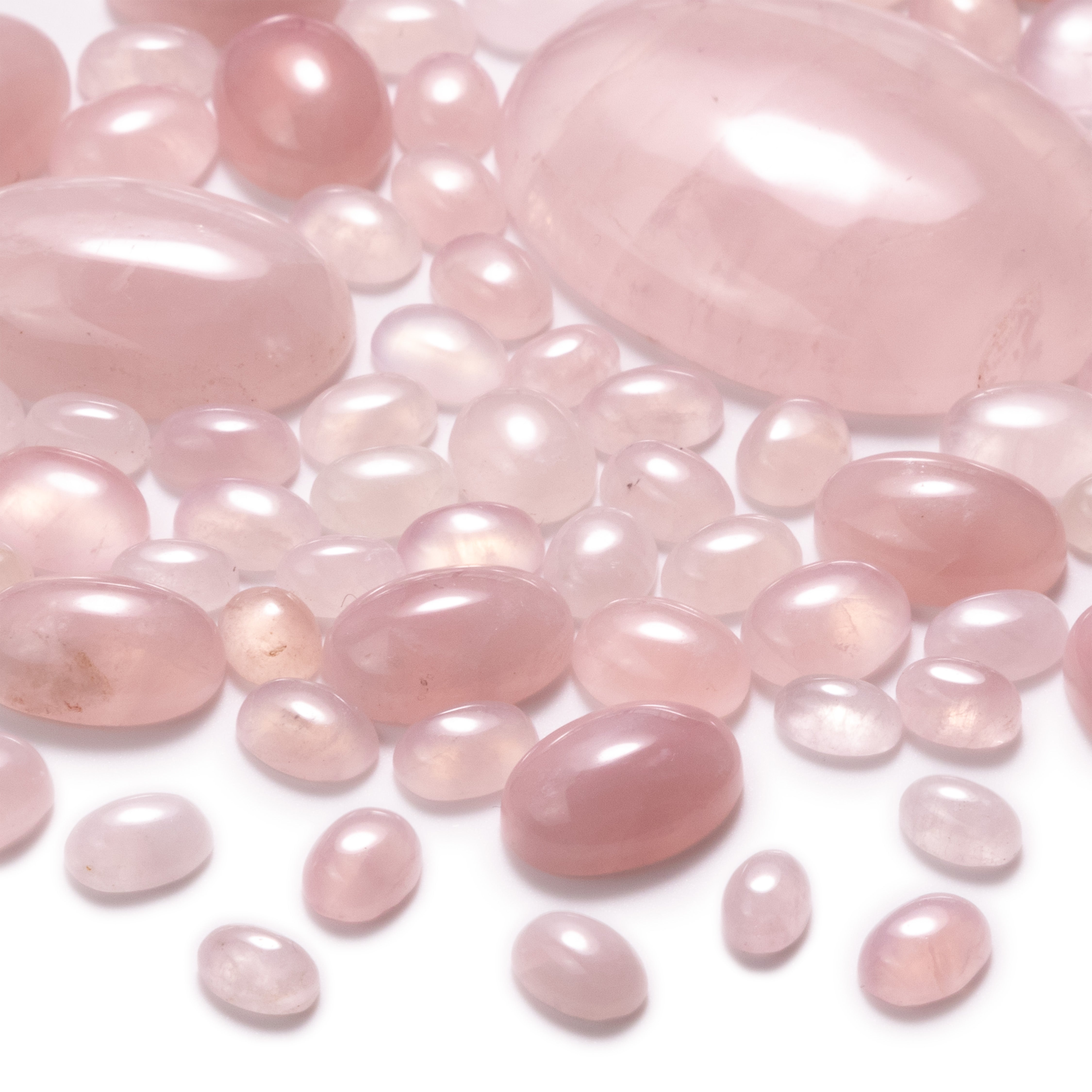 Rose quartz oval cabochons, scattered on a white background