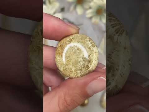 🌼 Just Arrived: Limited Edition Flower Jasper aka Fossilised Coral