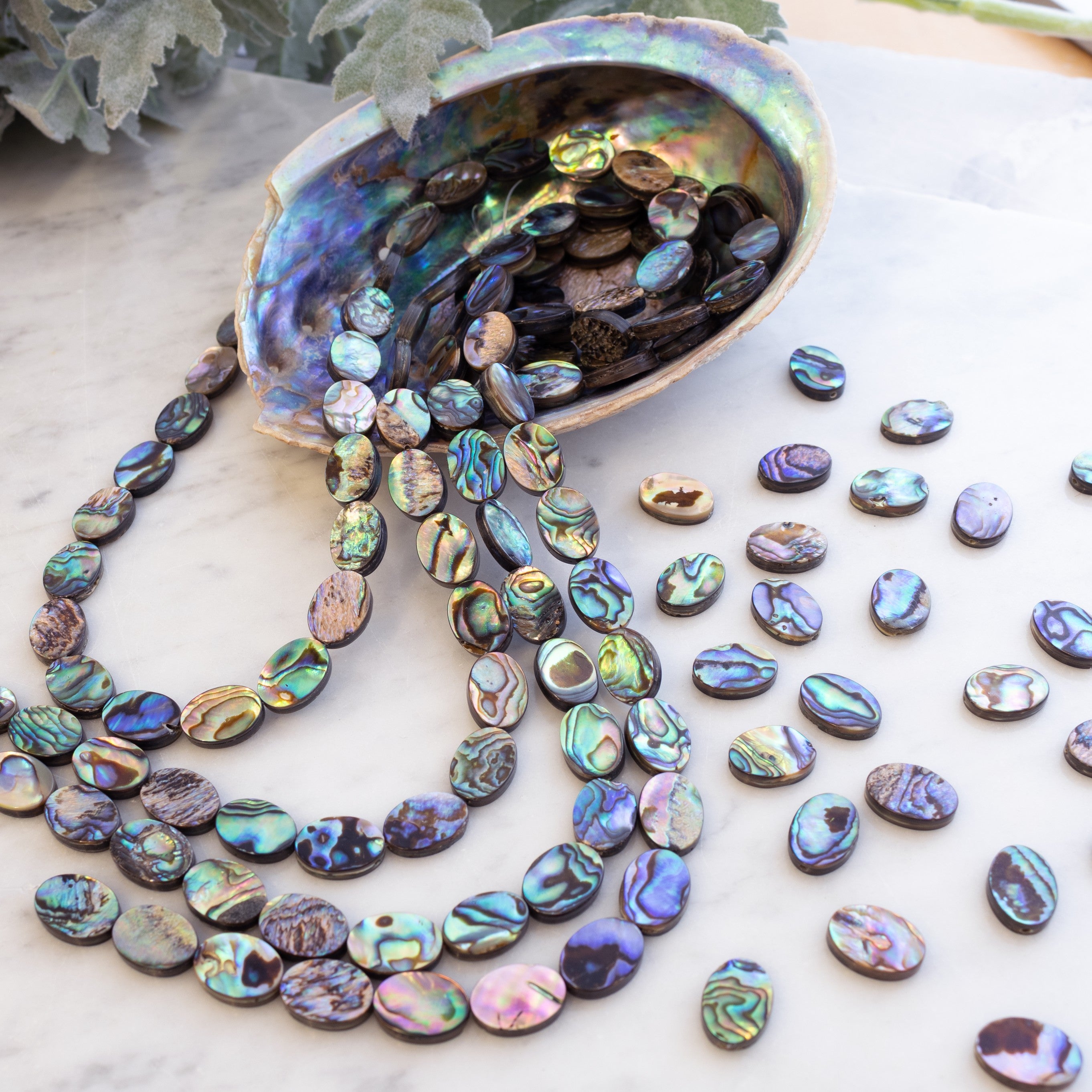 Paua Shell Flat Oval Beads Approx 14x10mm