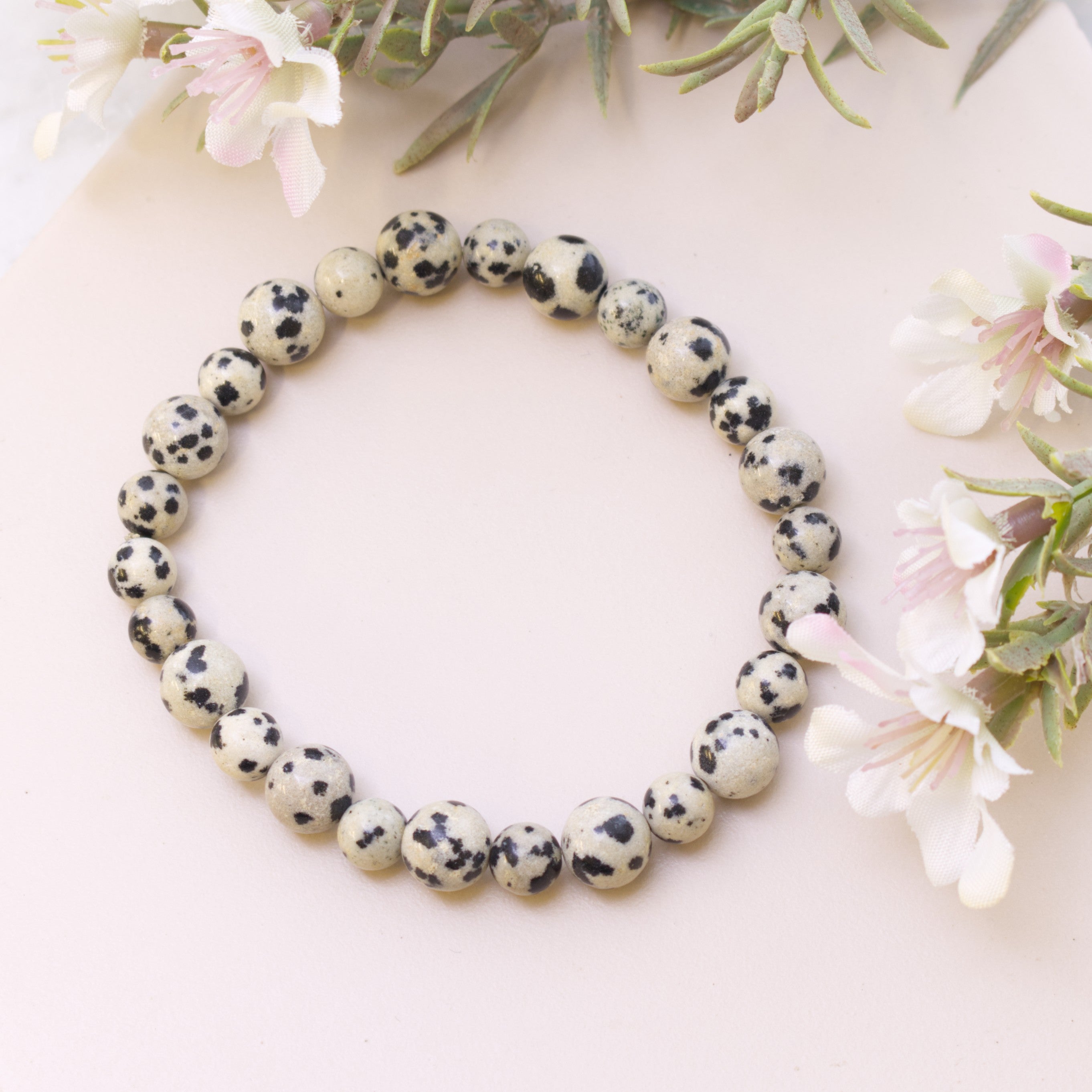 Dalmatian Jasper Round Beads