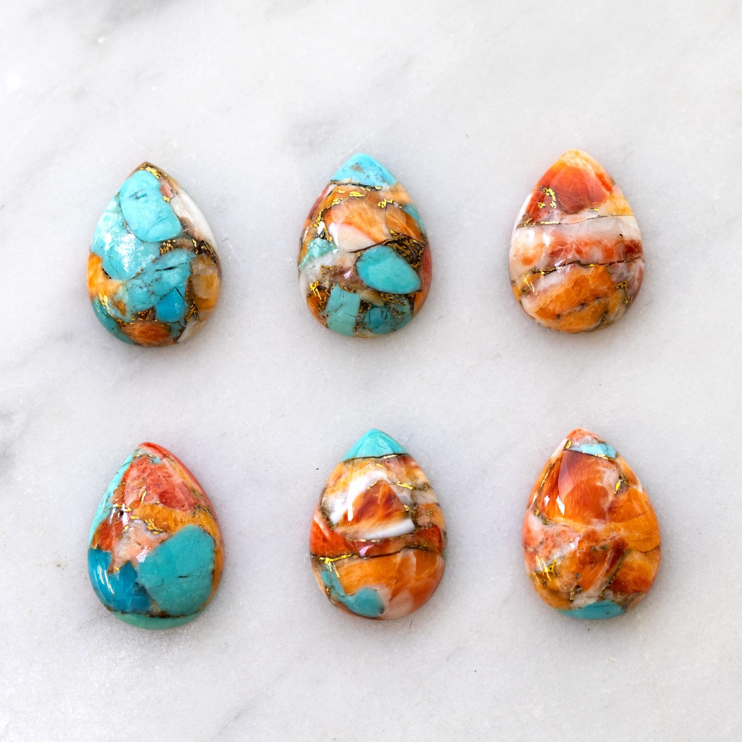 Spiny Oyster Turquoise Cabochons