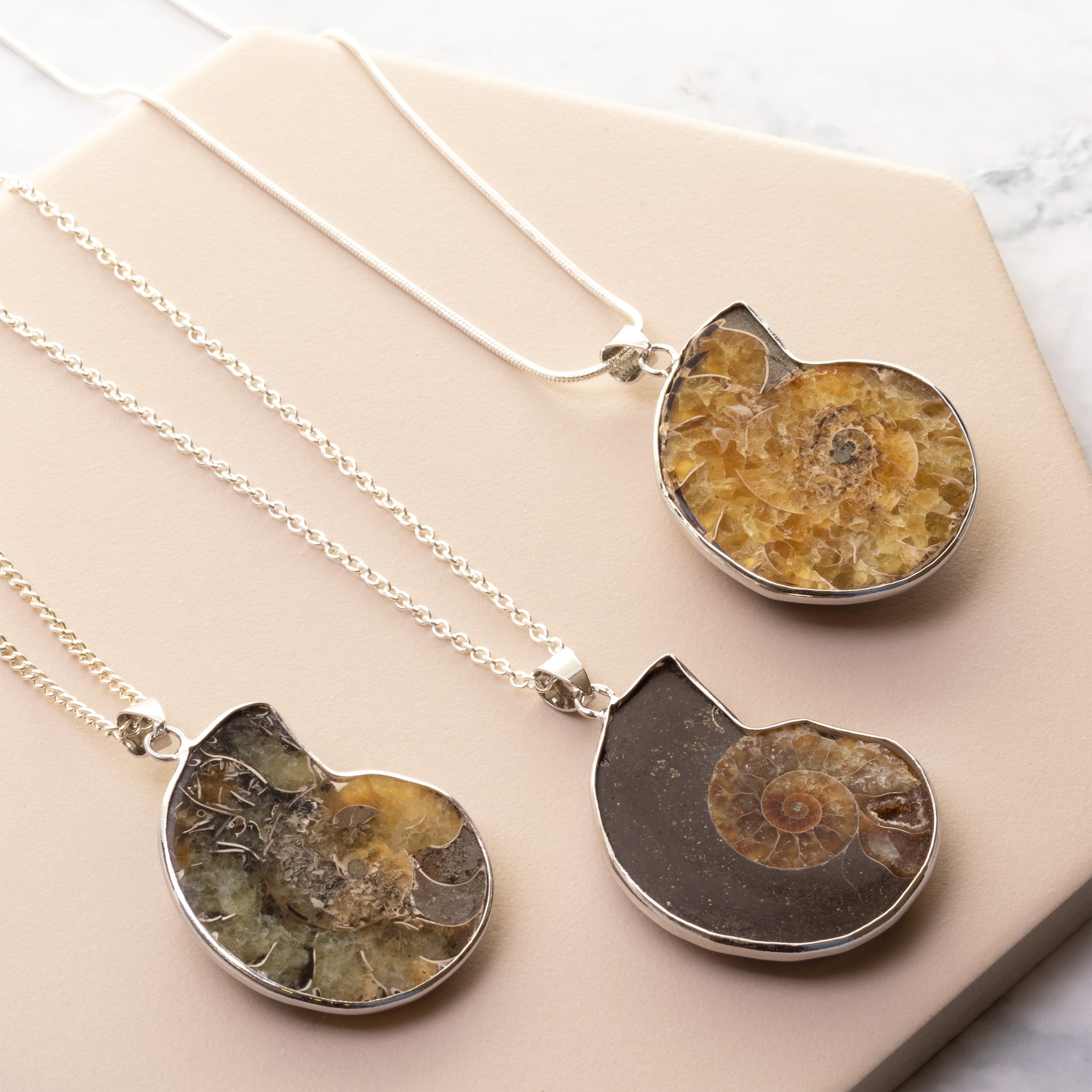 Ready To Wear Ammonite Pendants