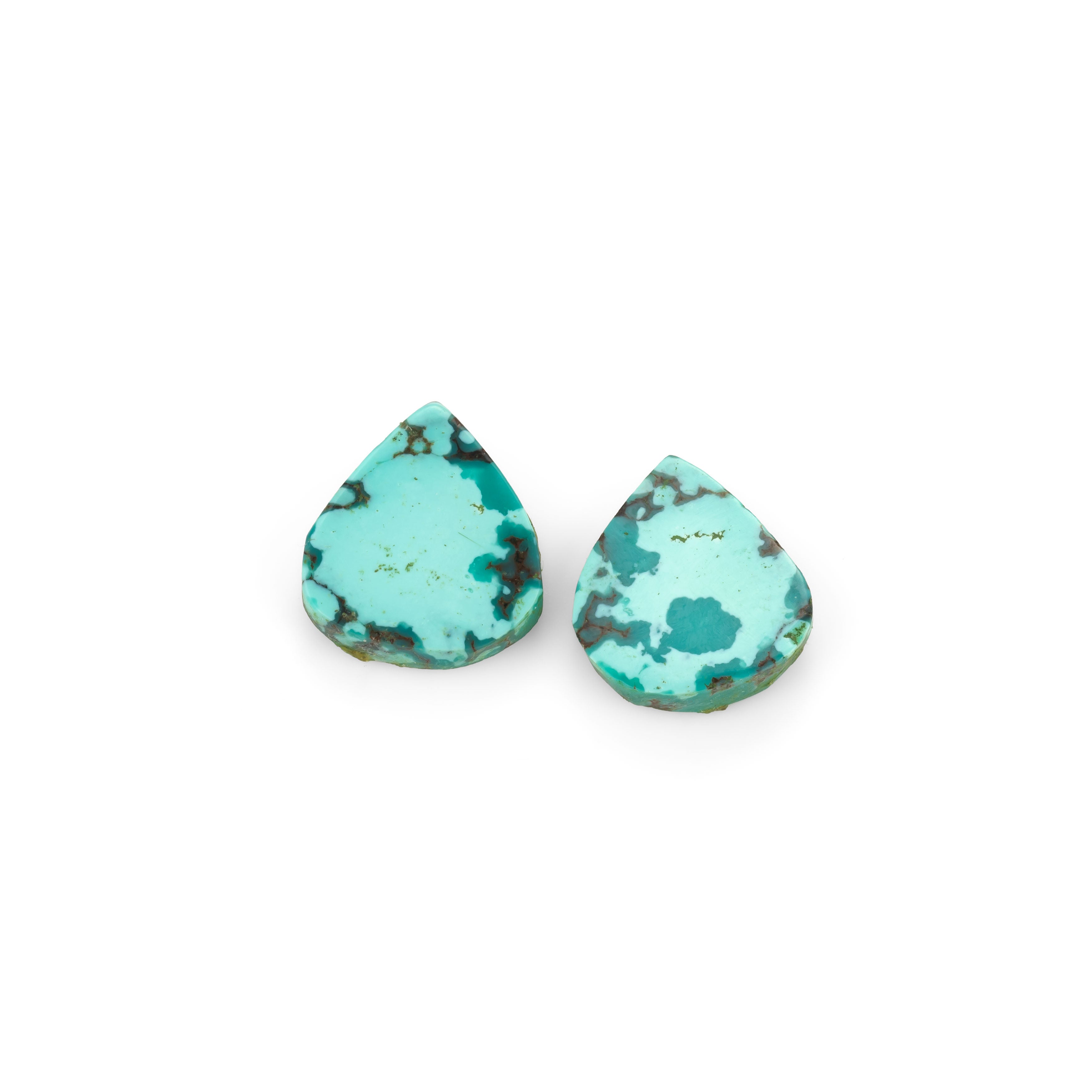 Pair of Turquoise Freeform Cabochons