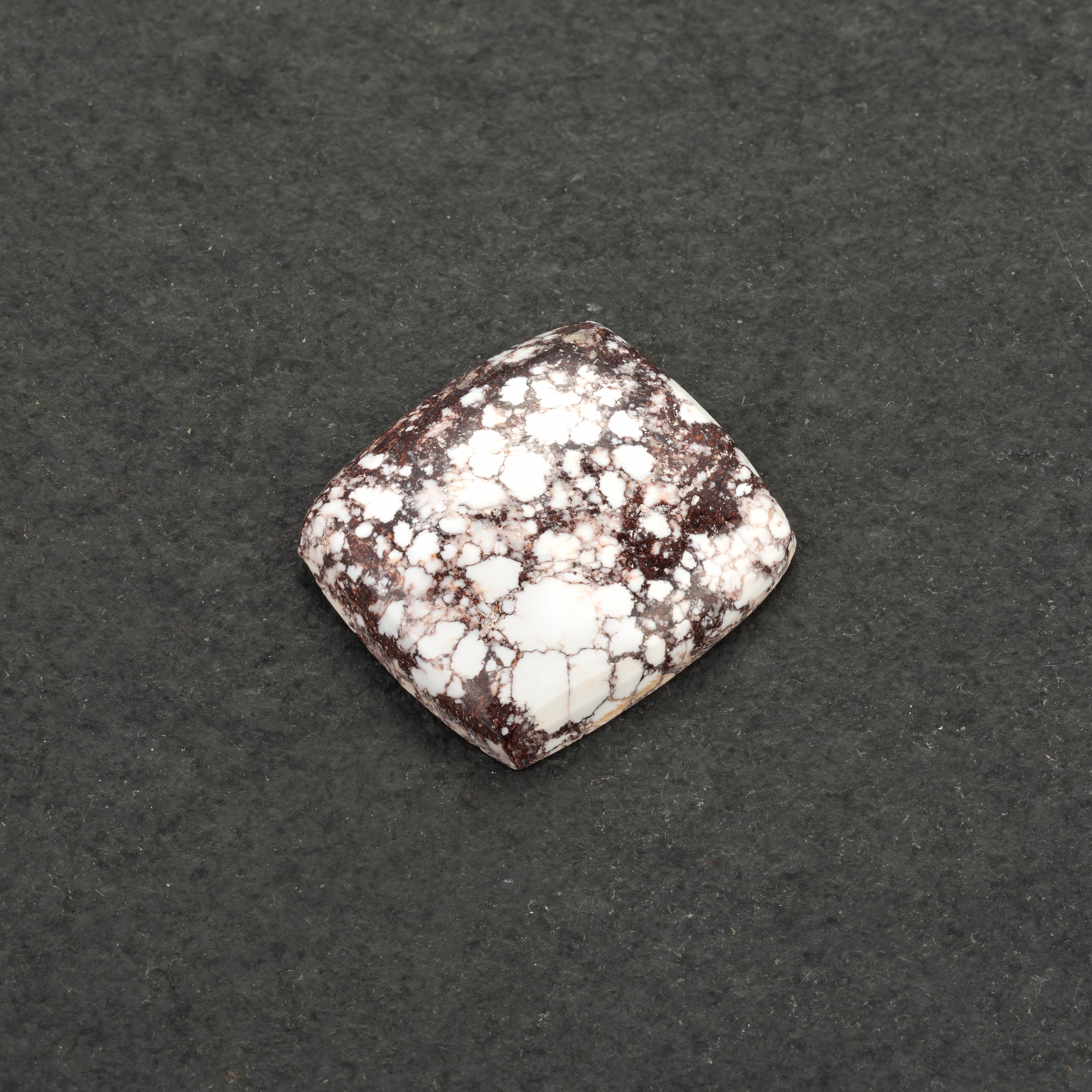 Wild Horse Jasper Freeform Cabochons