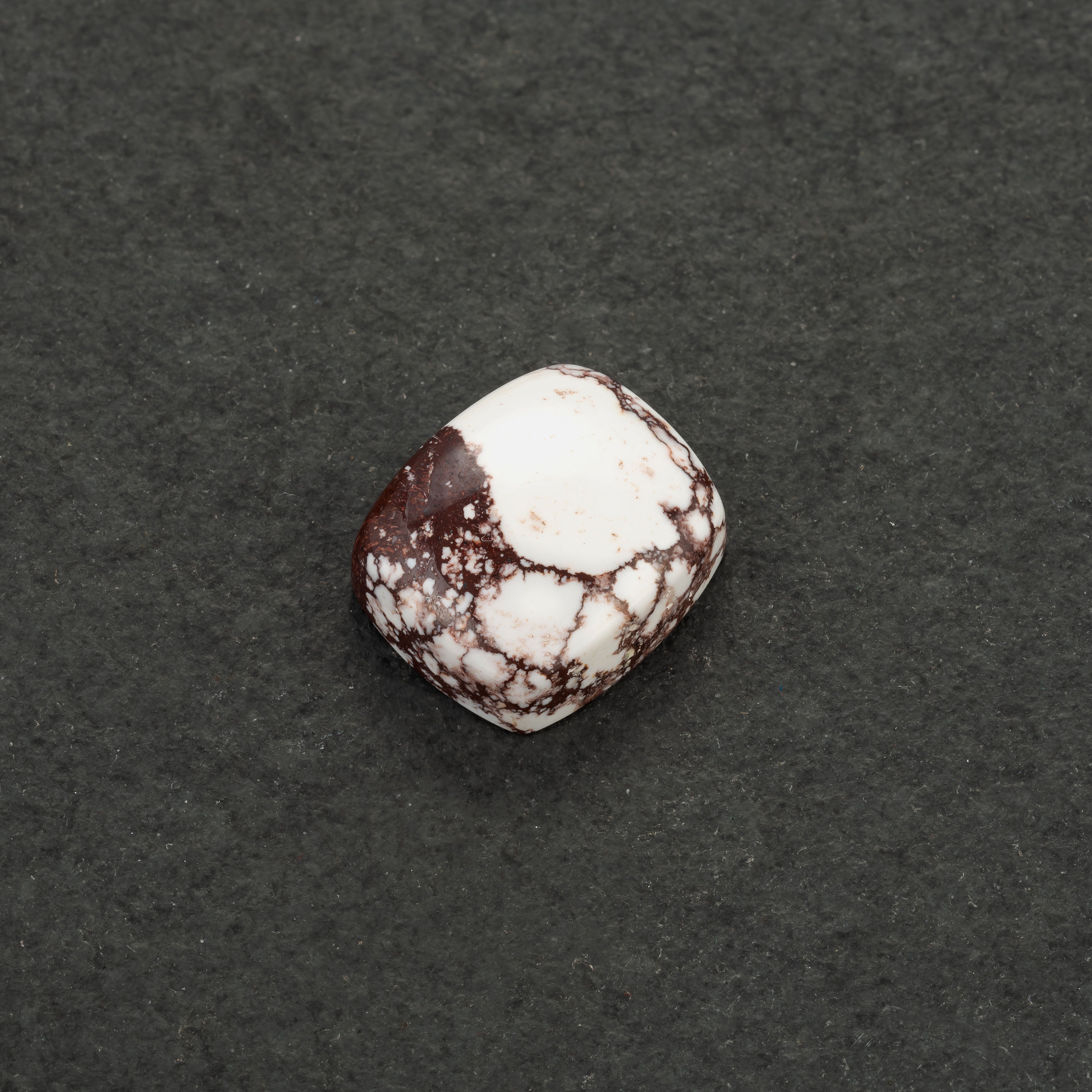 Wild Horse Jasper Freeform Cabochons