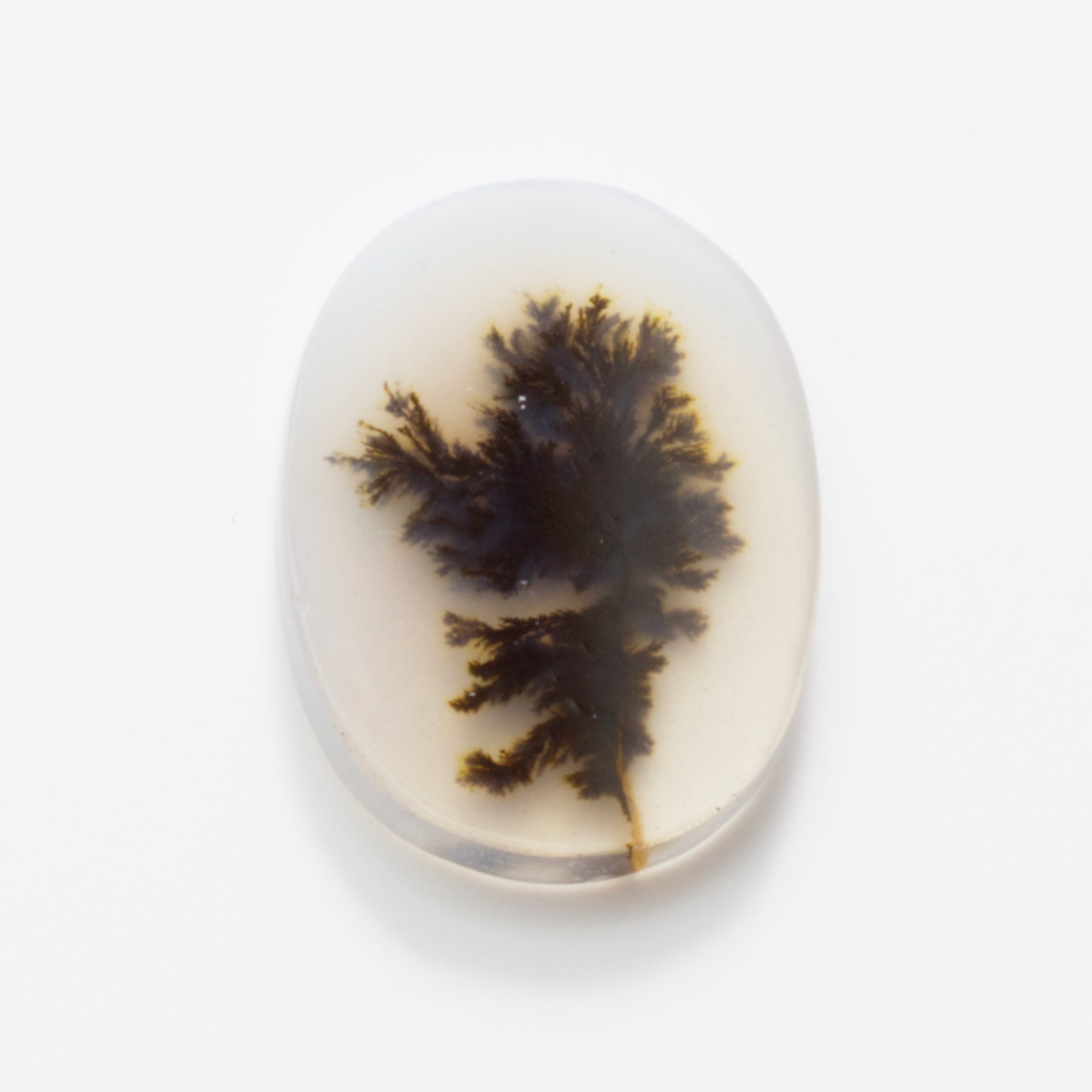 Dendrite Agate Flat Plate Freeform Cabochon