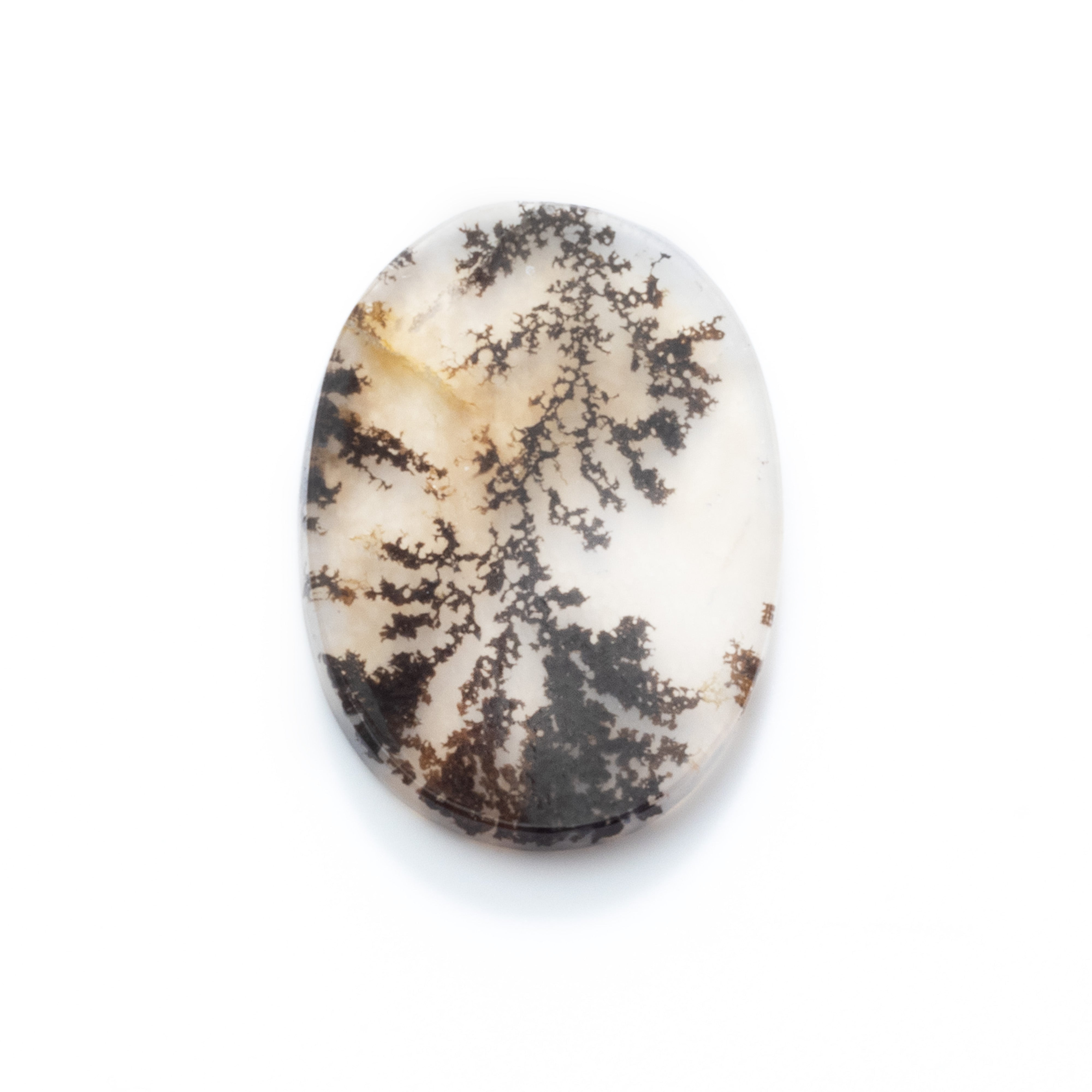 Dendrite Agate Flat Plate Freeform Cabochon