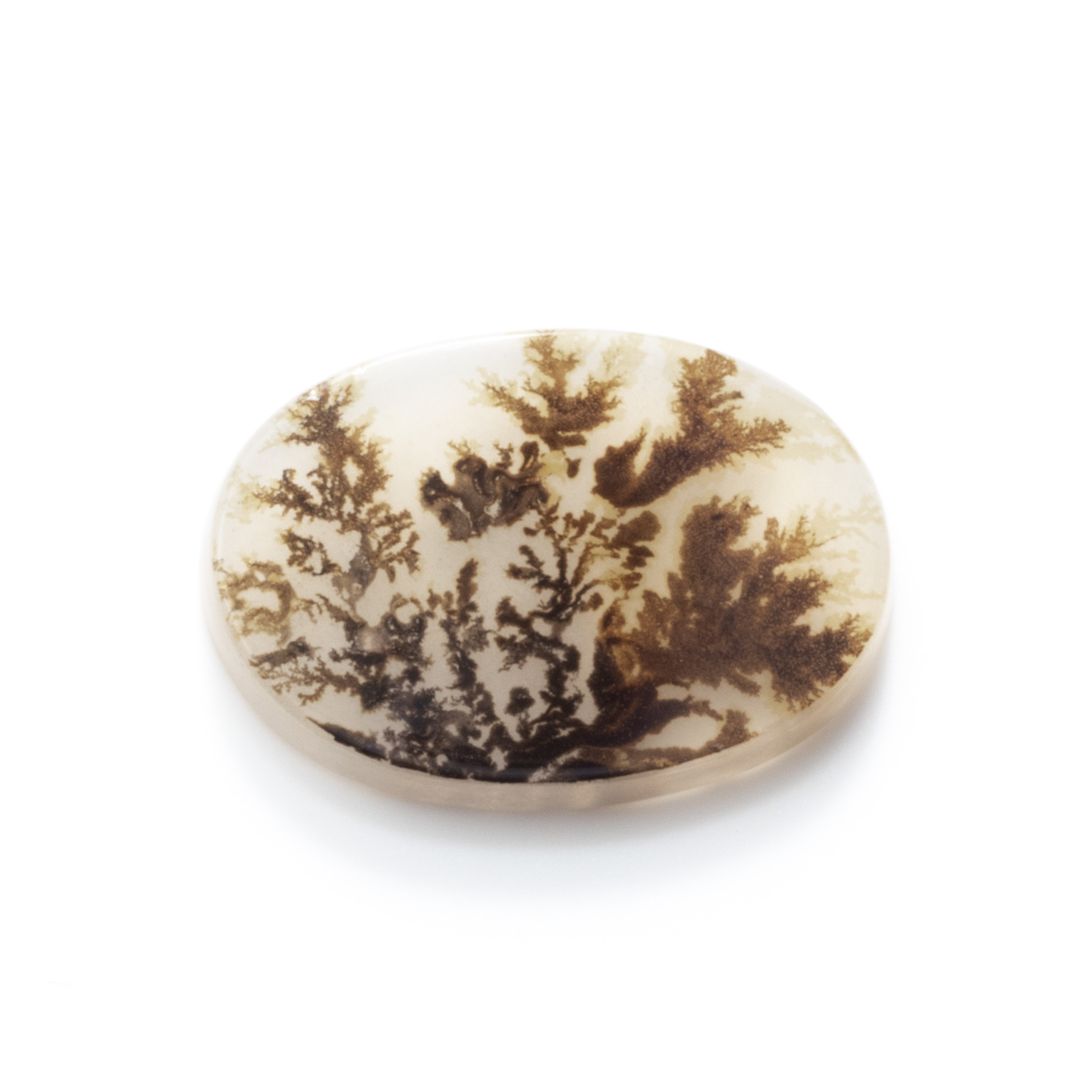 Dendrite Agate Flat Plate Freeform Cabochon