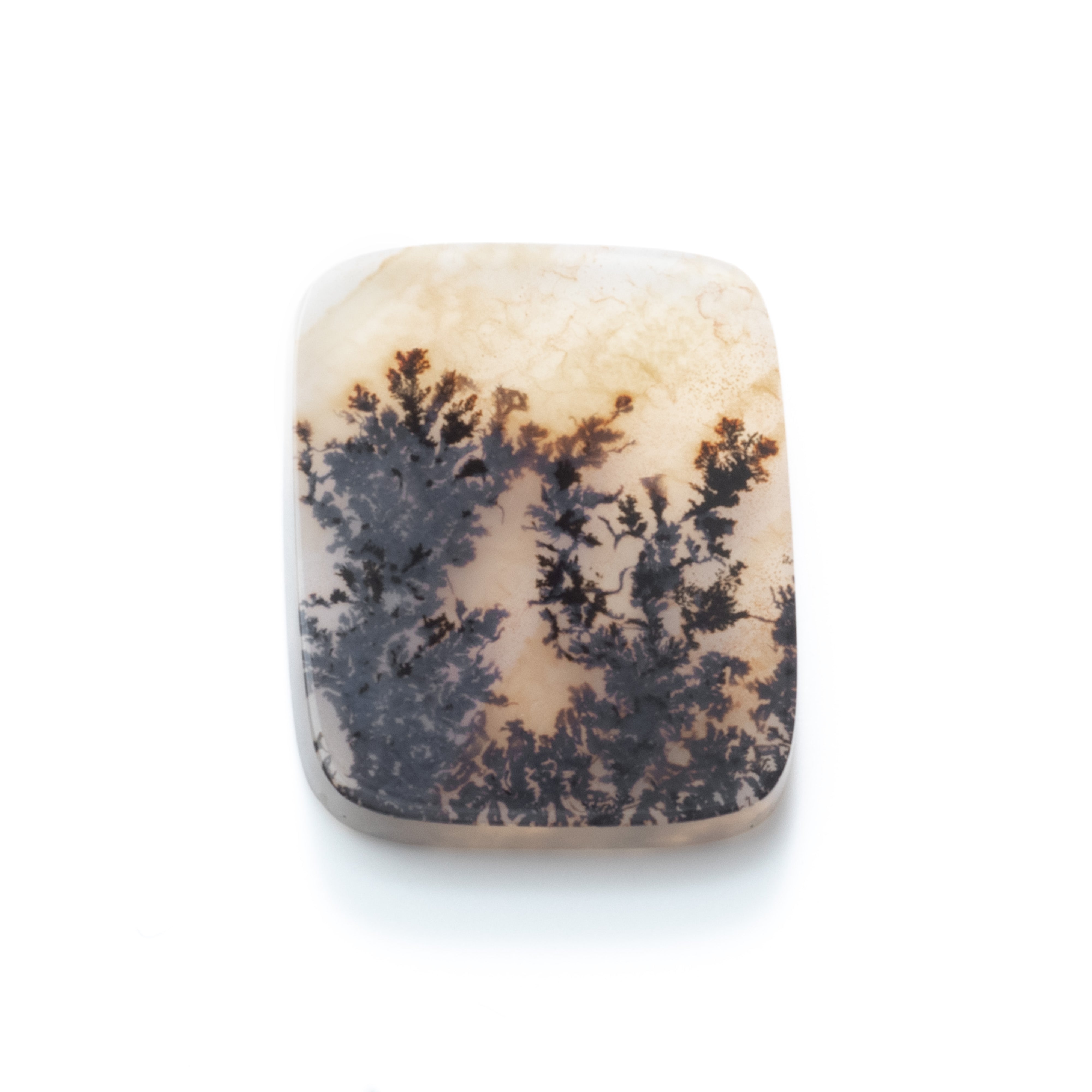 Dendrite Agate Flat Plate Freeform Cabochon
