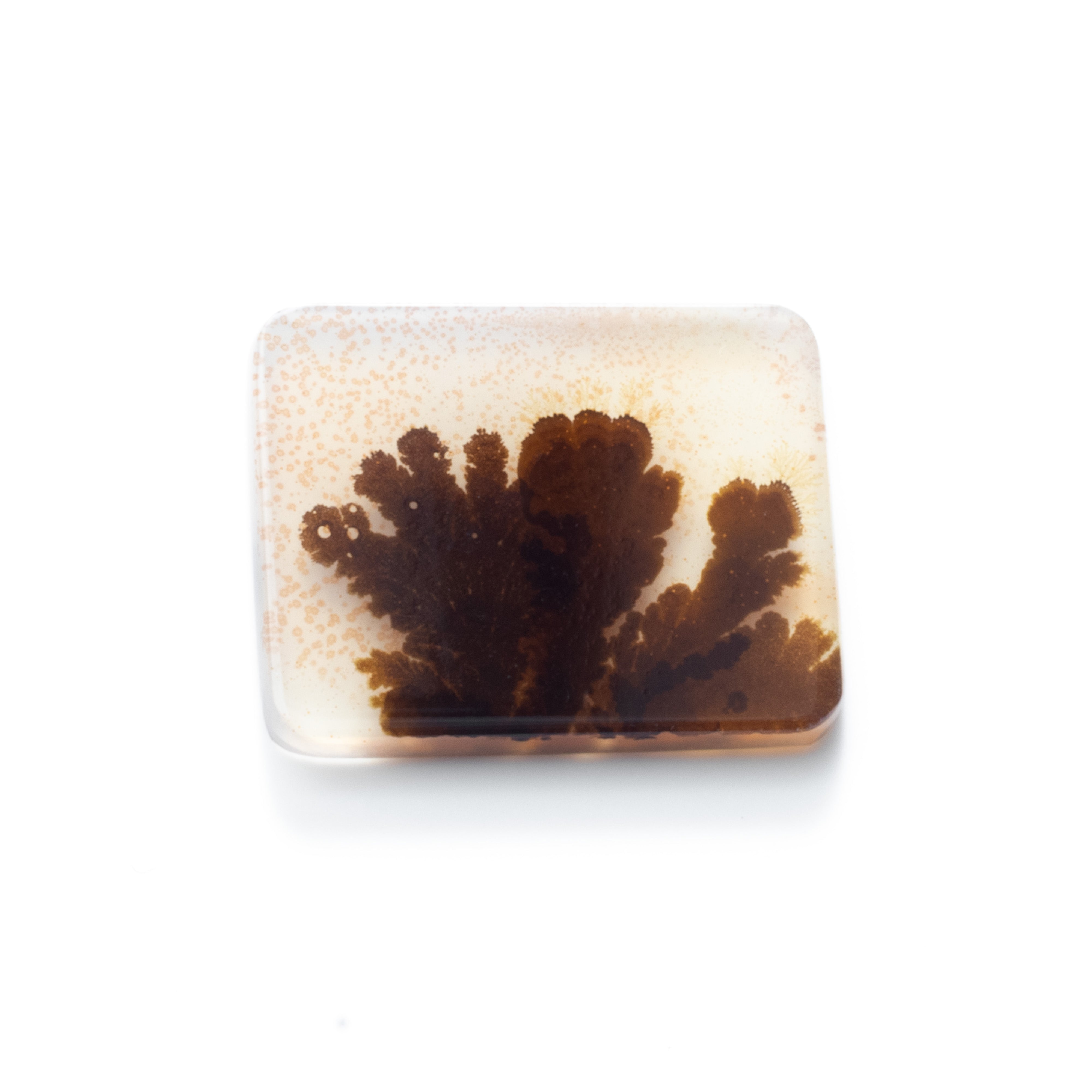 Dendrite Agate Flat Plate Freeform Cabochon