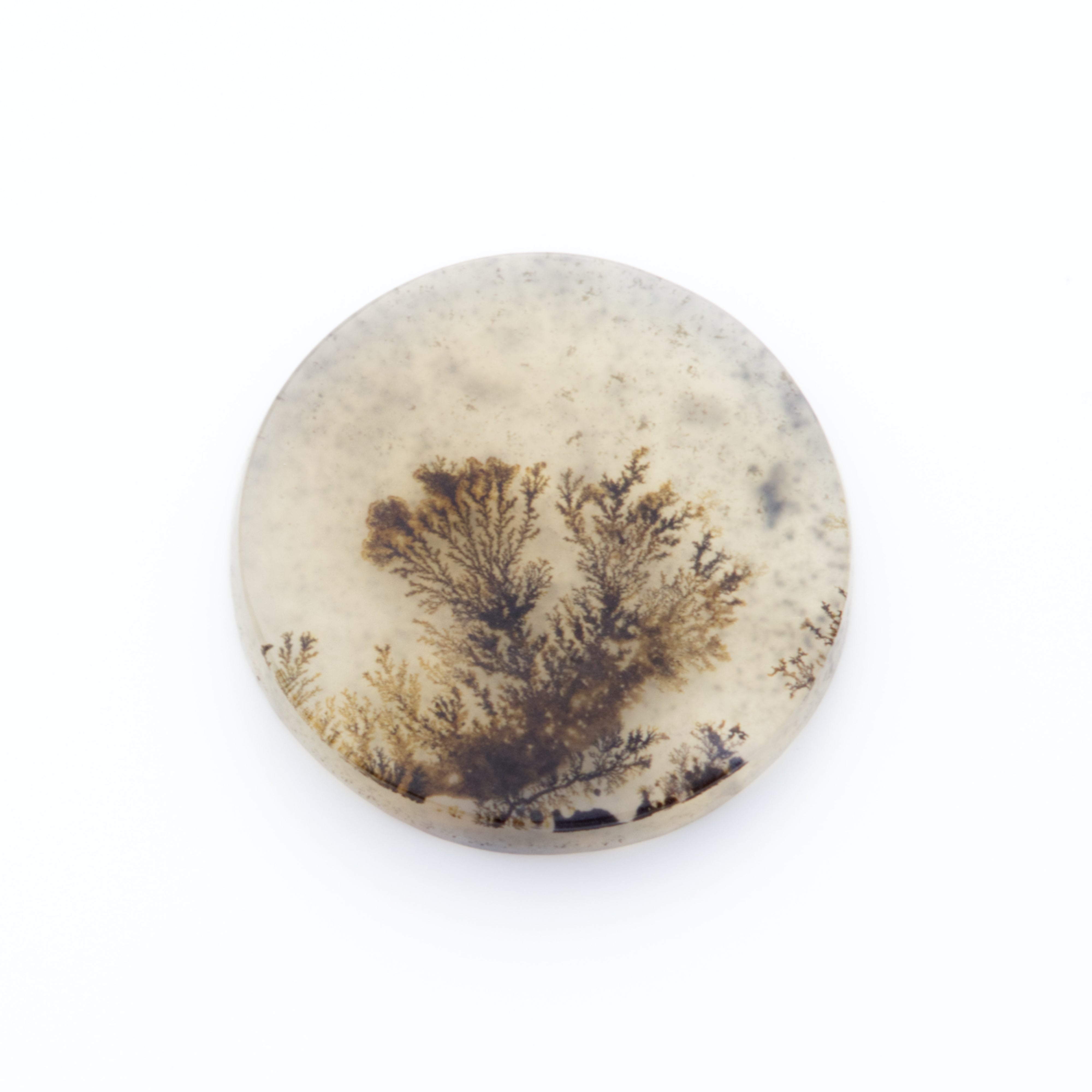 Dendrite Agate Flat Plate Freeform Cabochon
