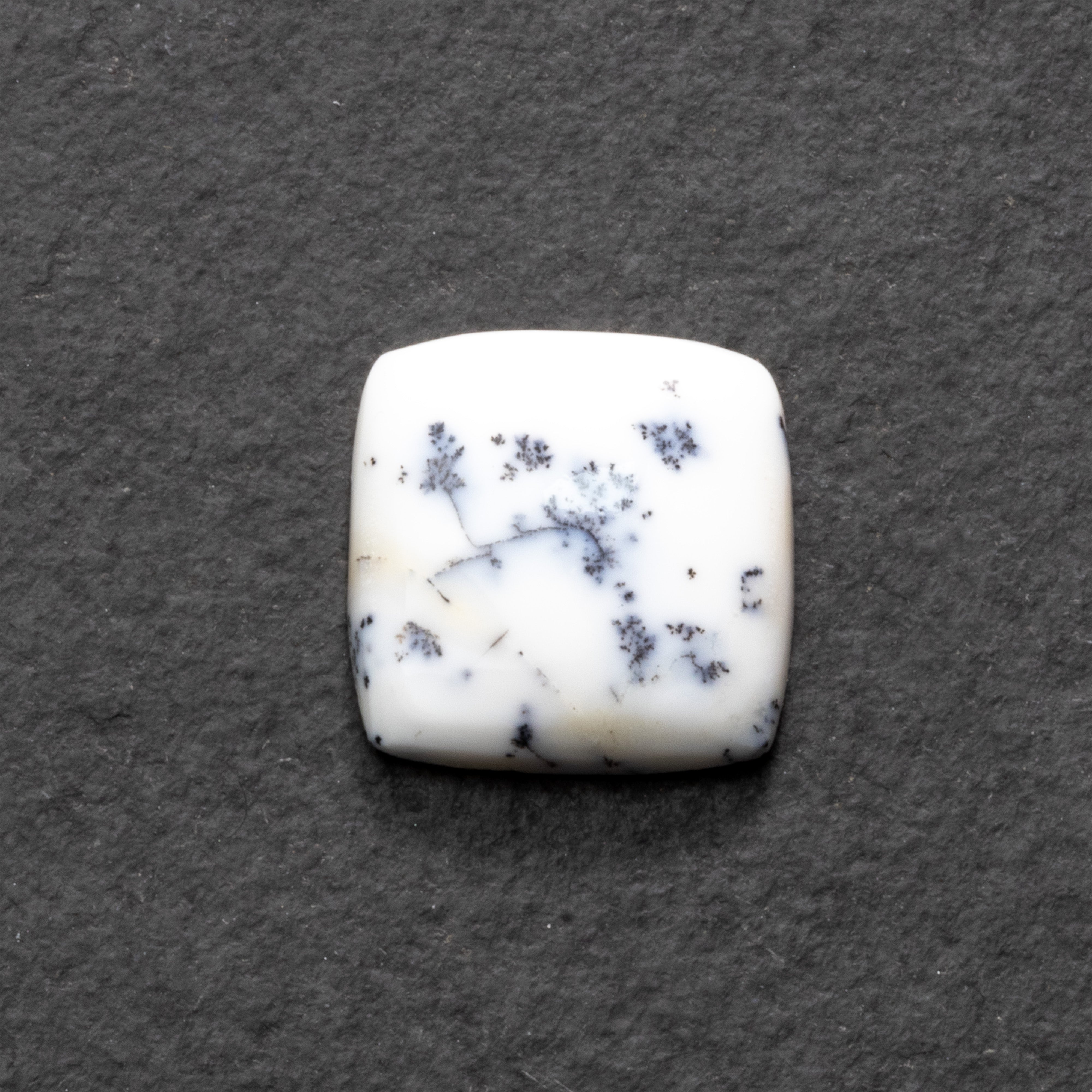 Dendrite Opal Freeform Cabochon Collection 1