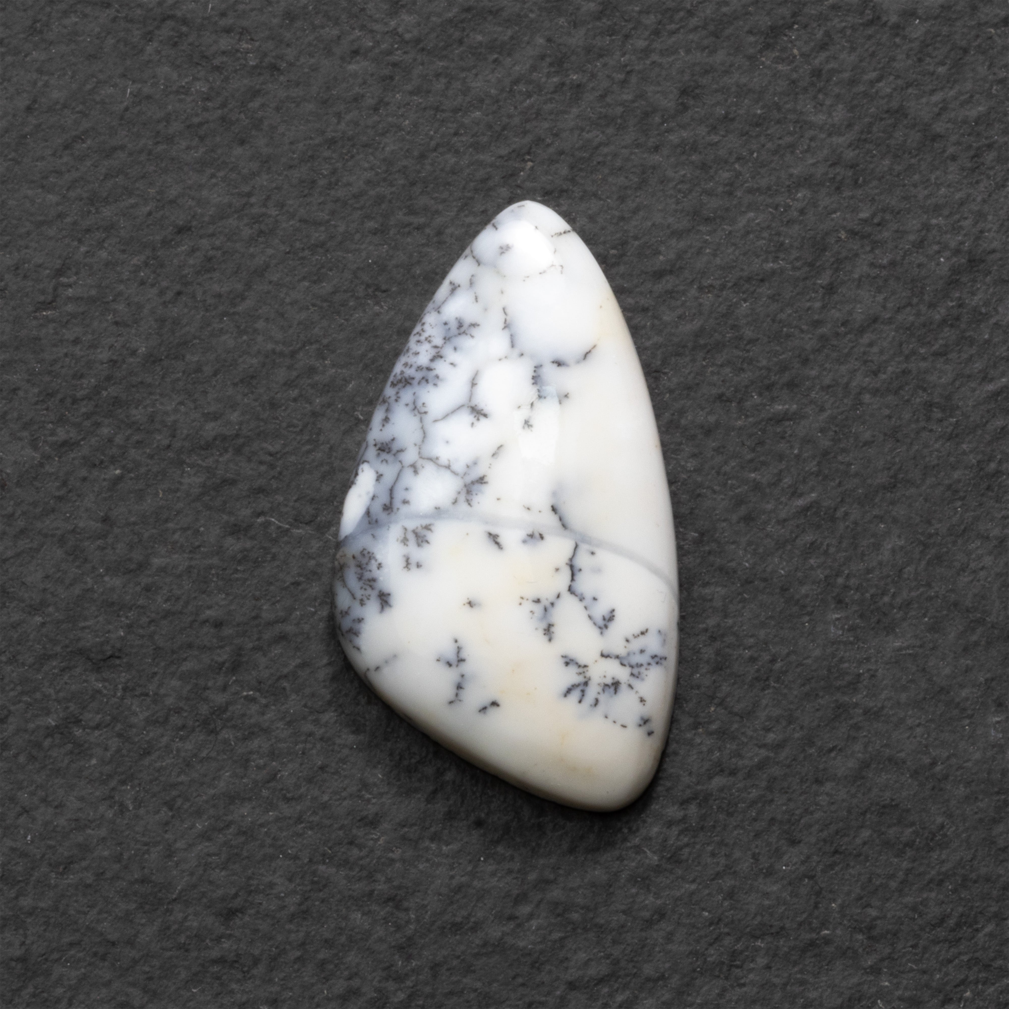 Dendrite Opal Freeform Cabochon Collection 1