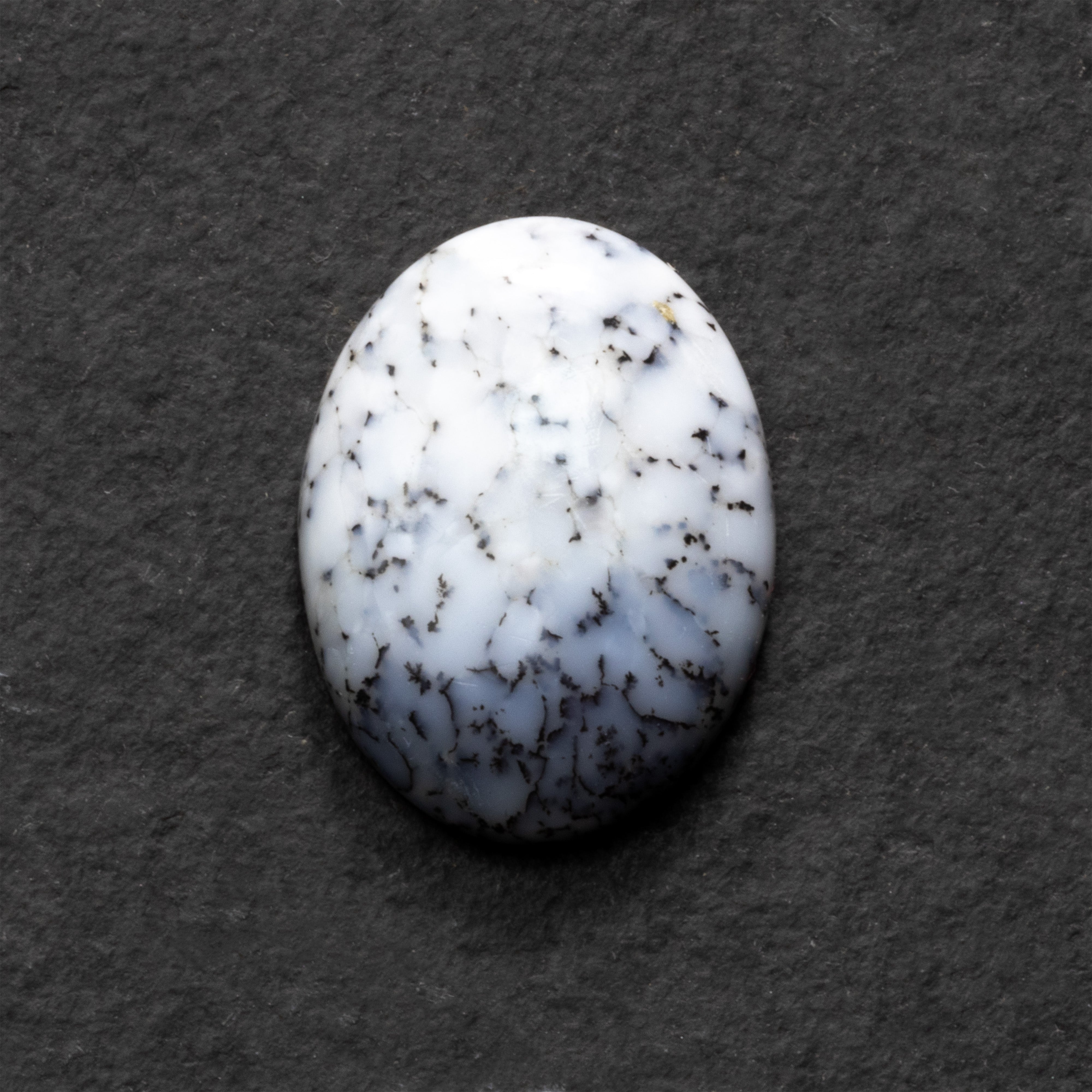 Dendrite Opal Freeform Cabochon Collection 1