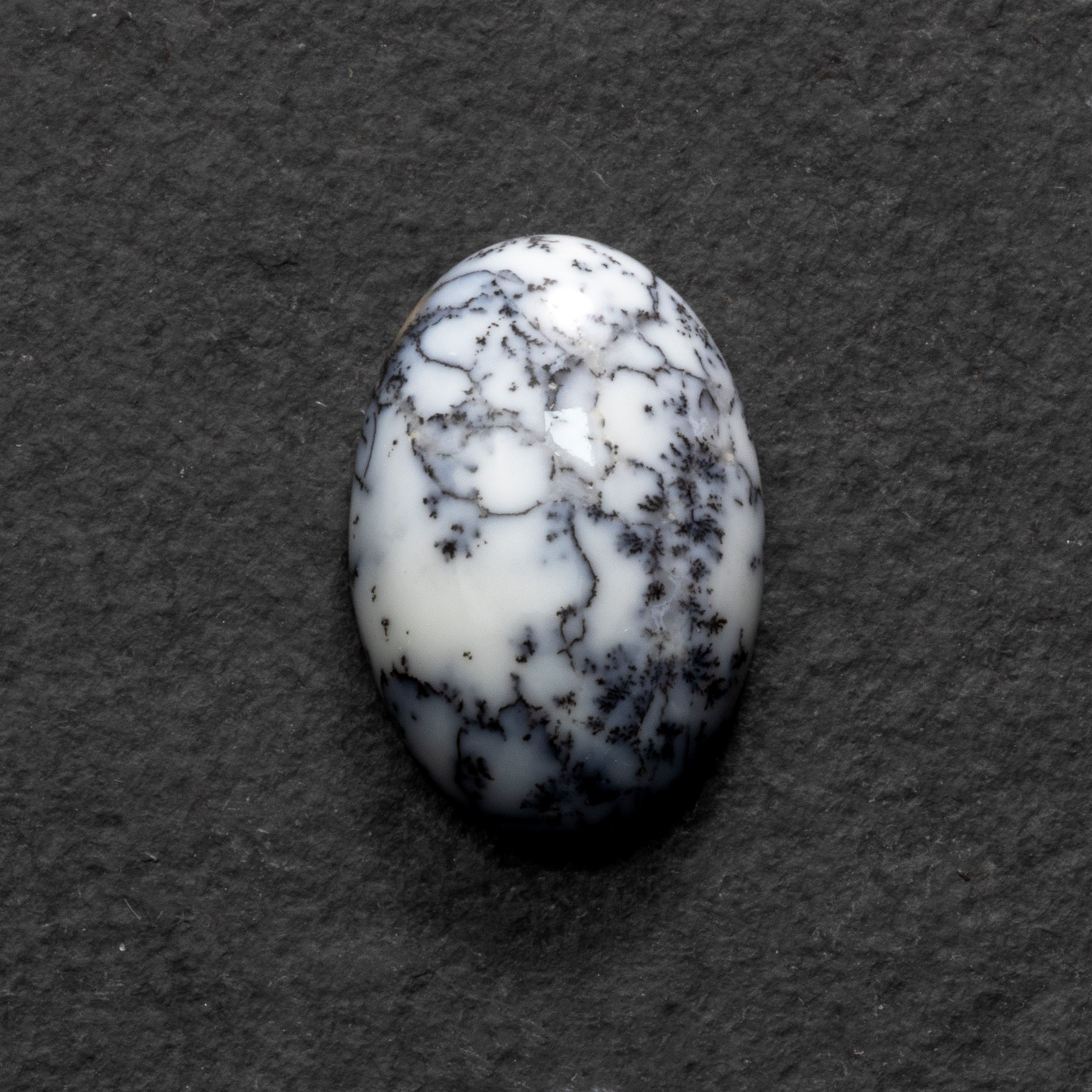 Dendrite Opal Freeform Cabochon Collection 2