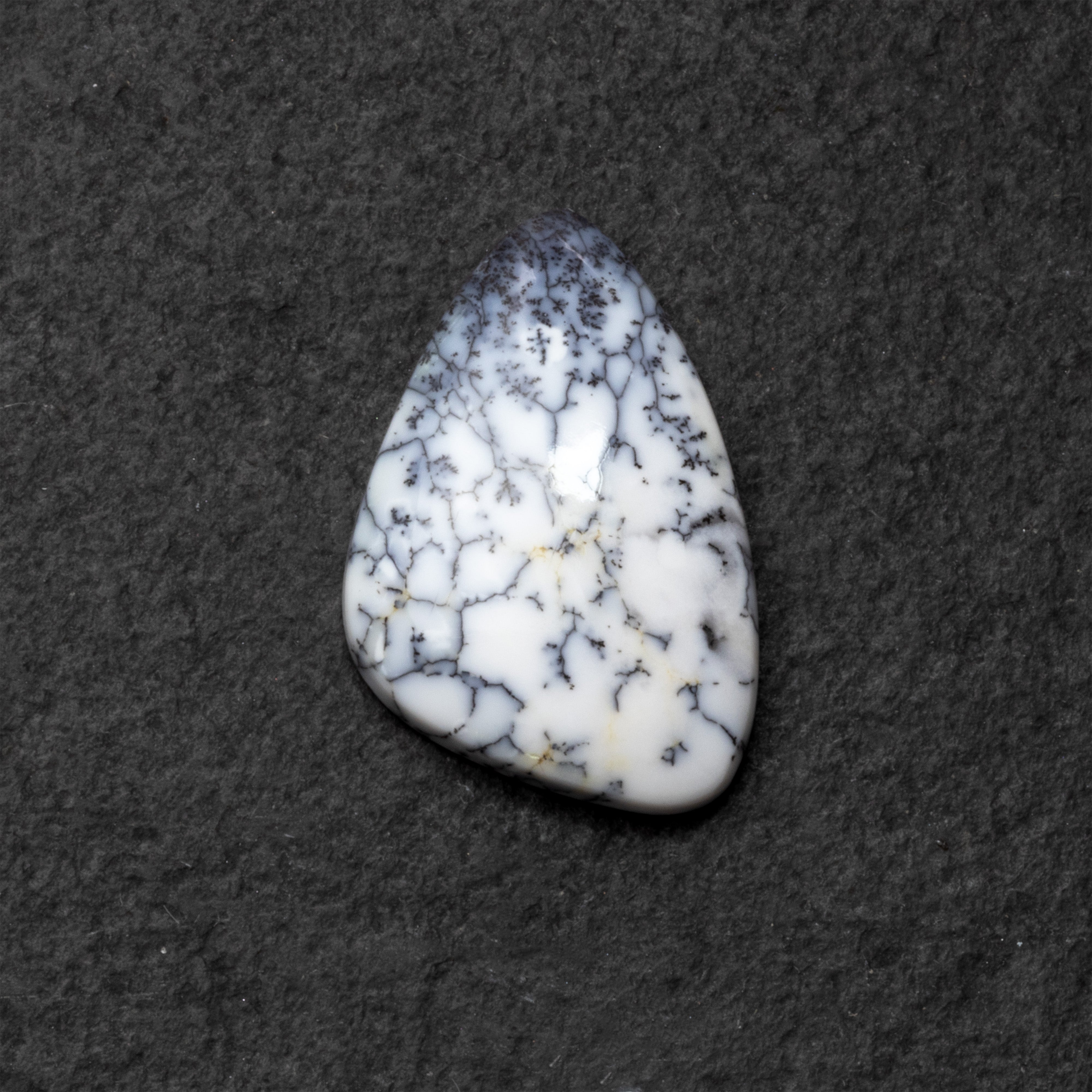 Dendrite Opal Freeform Cabochon Collection 2