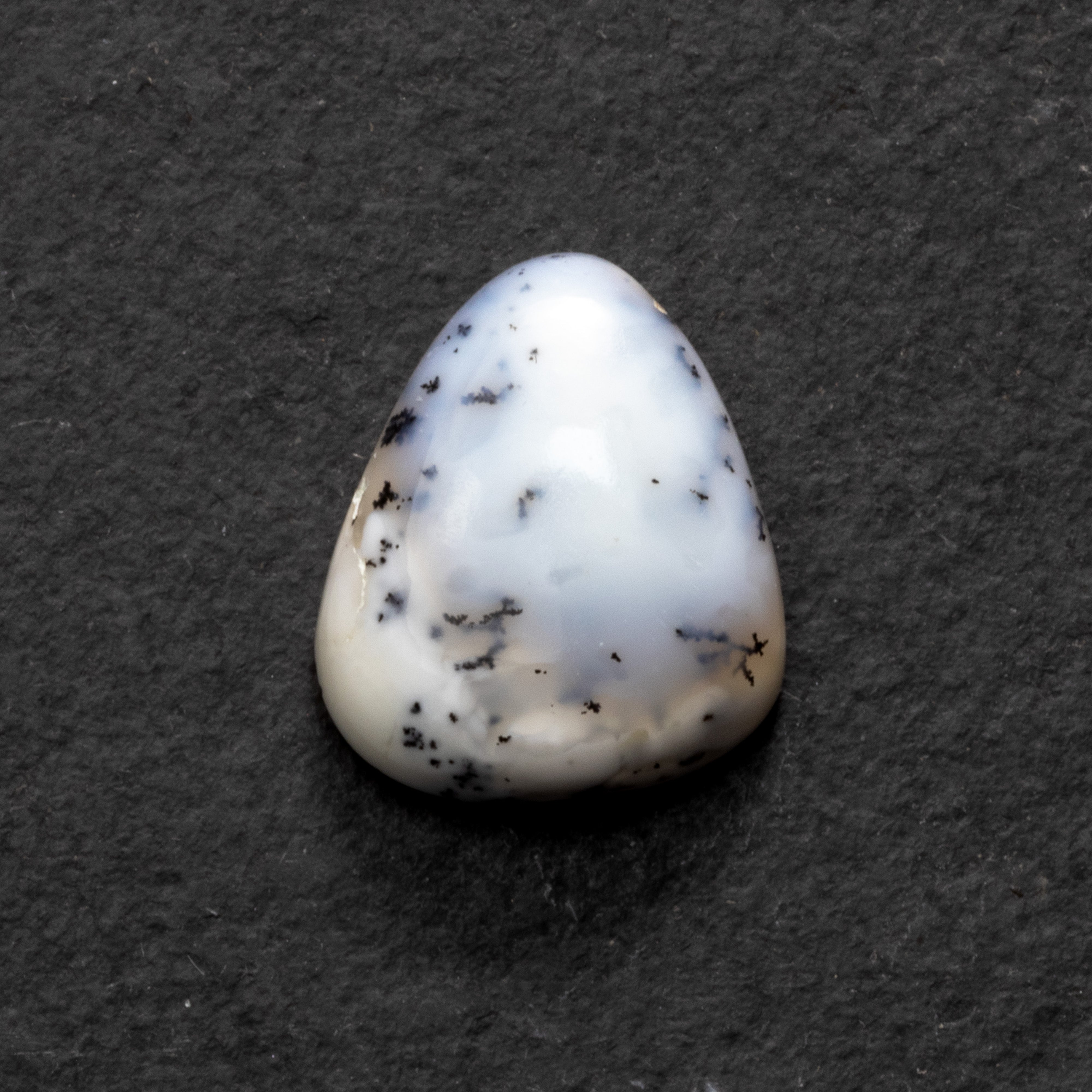 Dendrite Opal Freeform Cabochon Collection 2