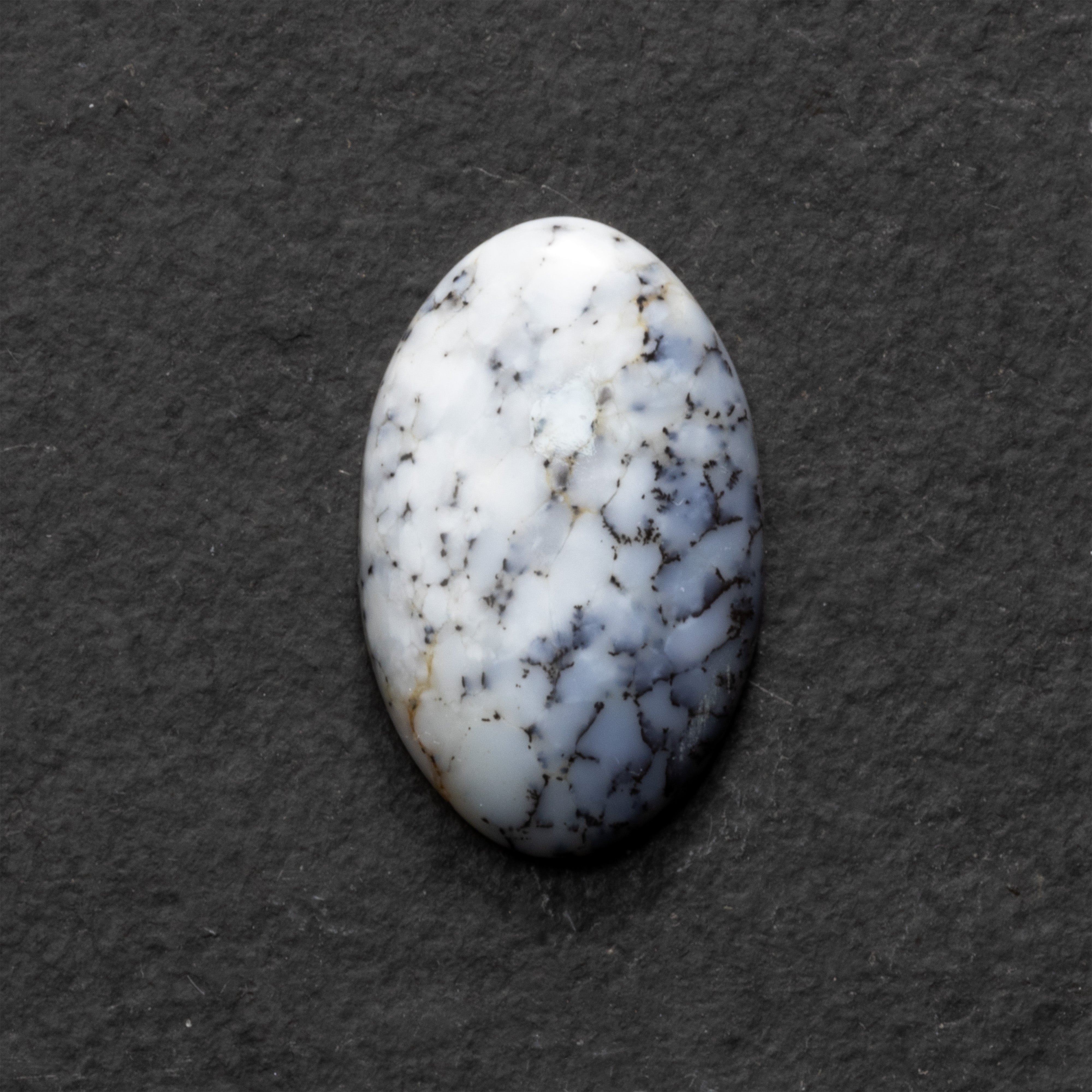 Dendrite Opal Freeform Cabochon Collection 2