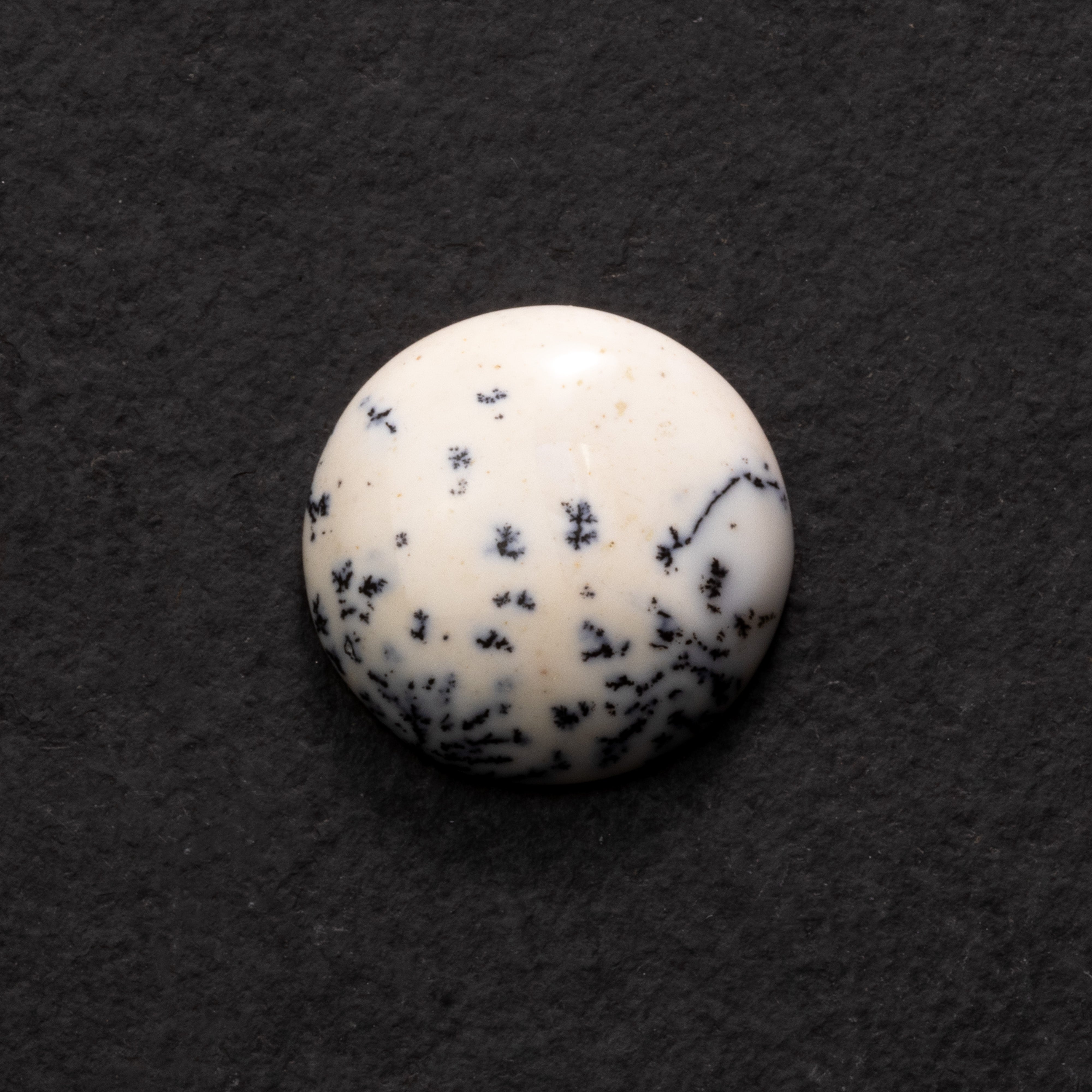Dendrite Opal Freeform Cabochon Collection 3