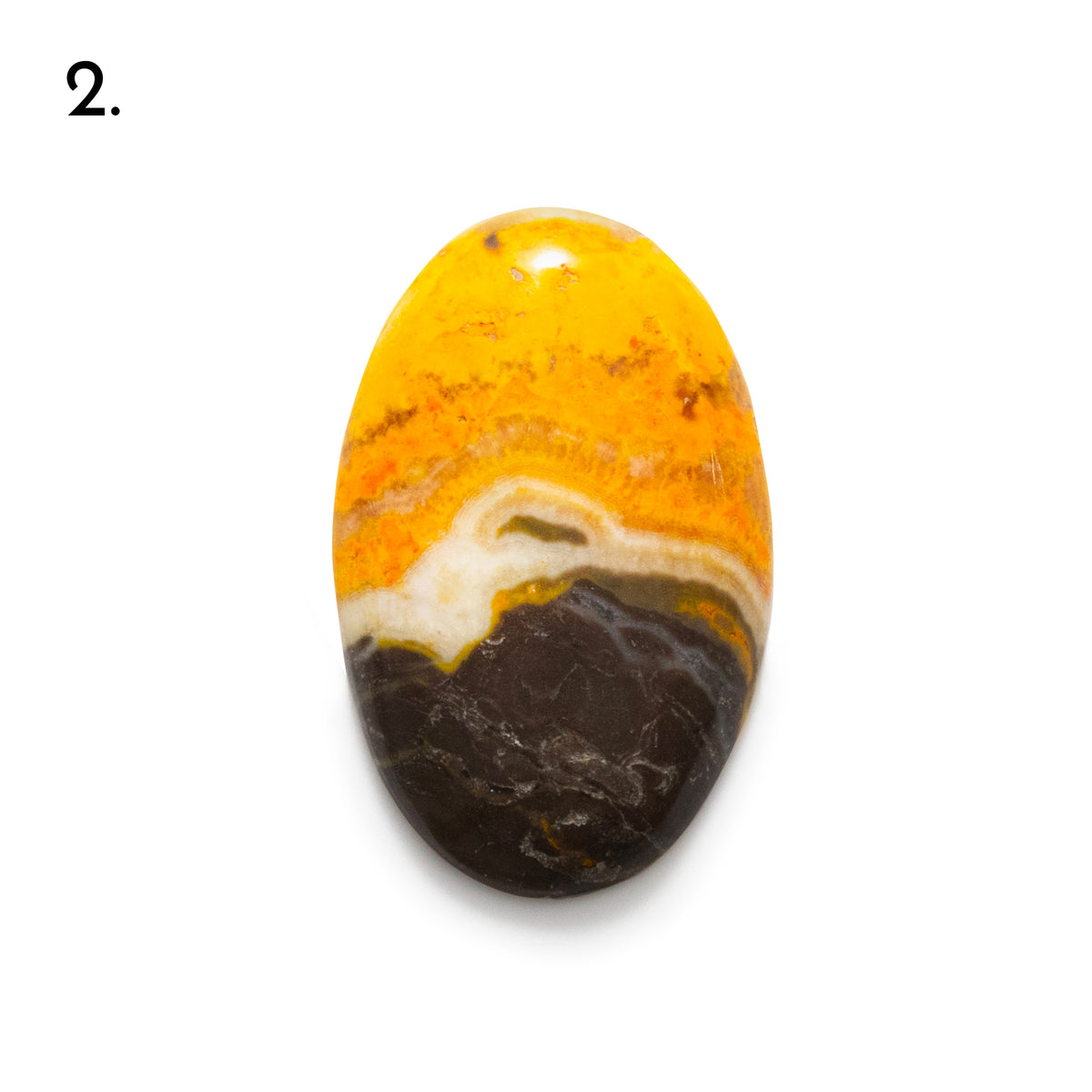 Bumblebee Jasper Freeform Cabochons