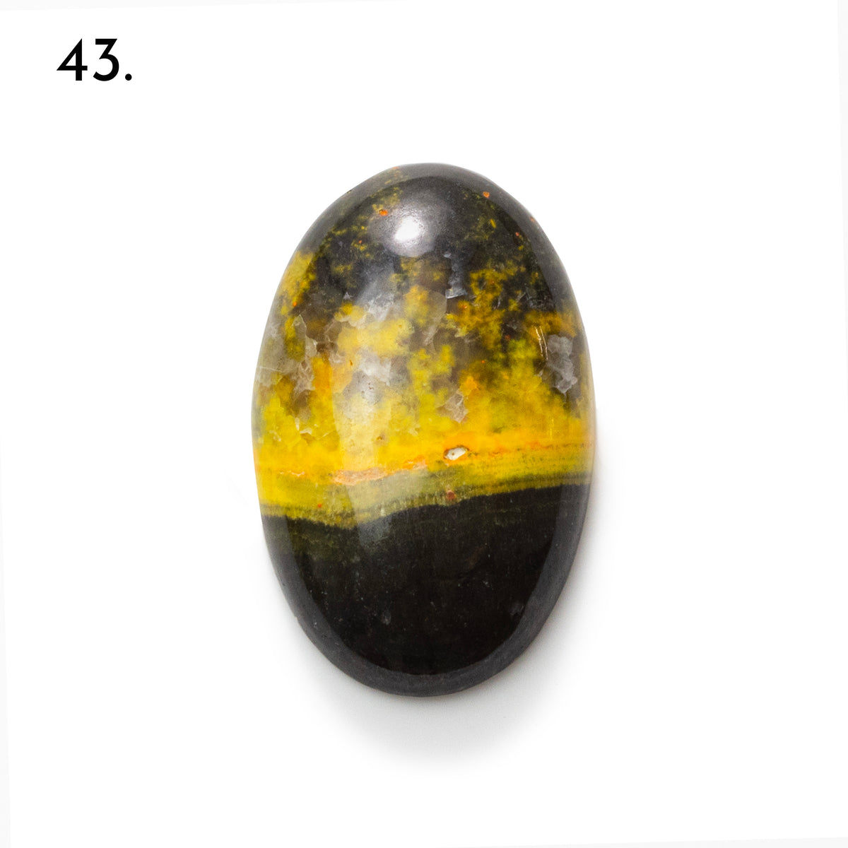Bumblebee Jasper Freeform Cabochons