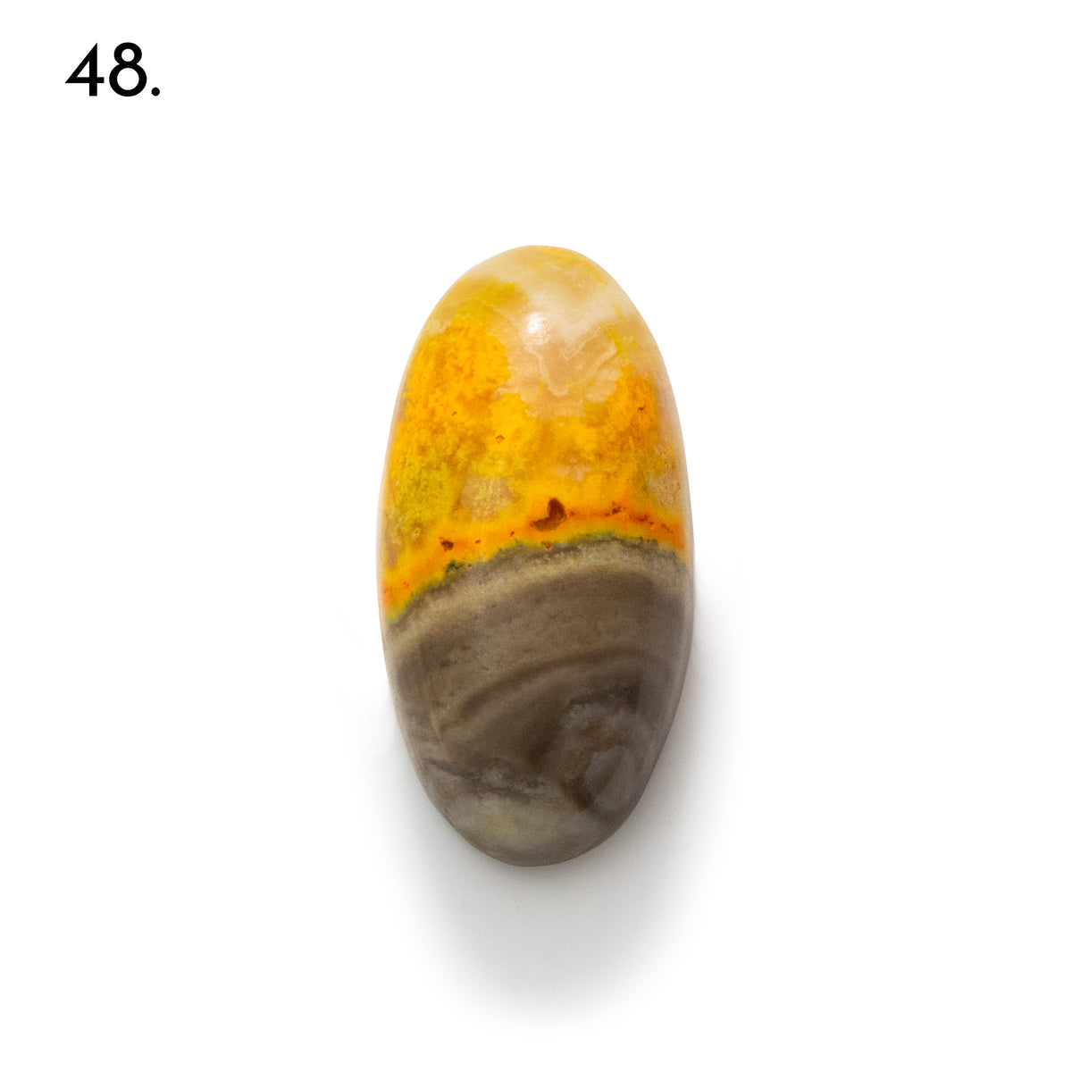 Bumblebee Jasper Freeform Cabochons