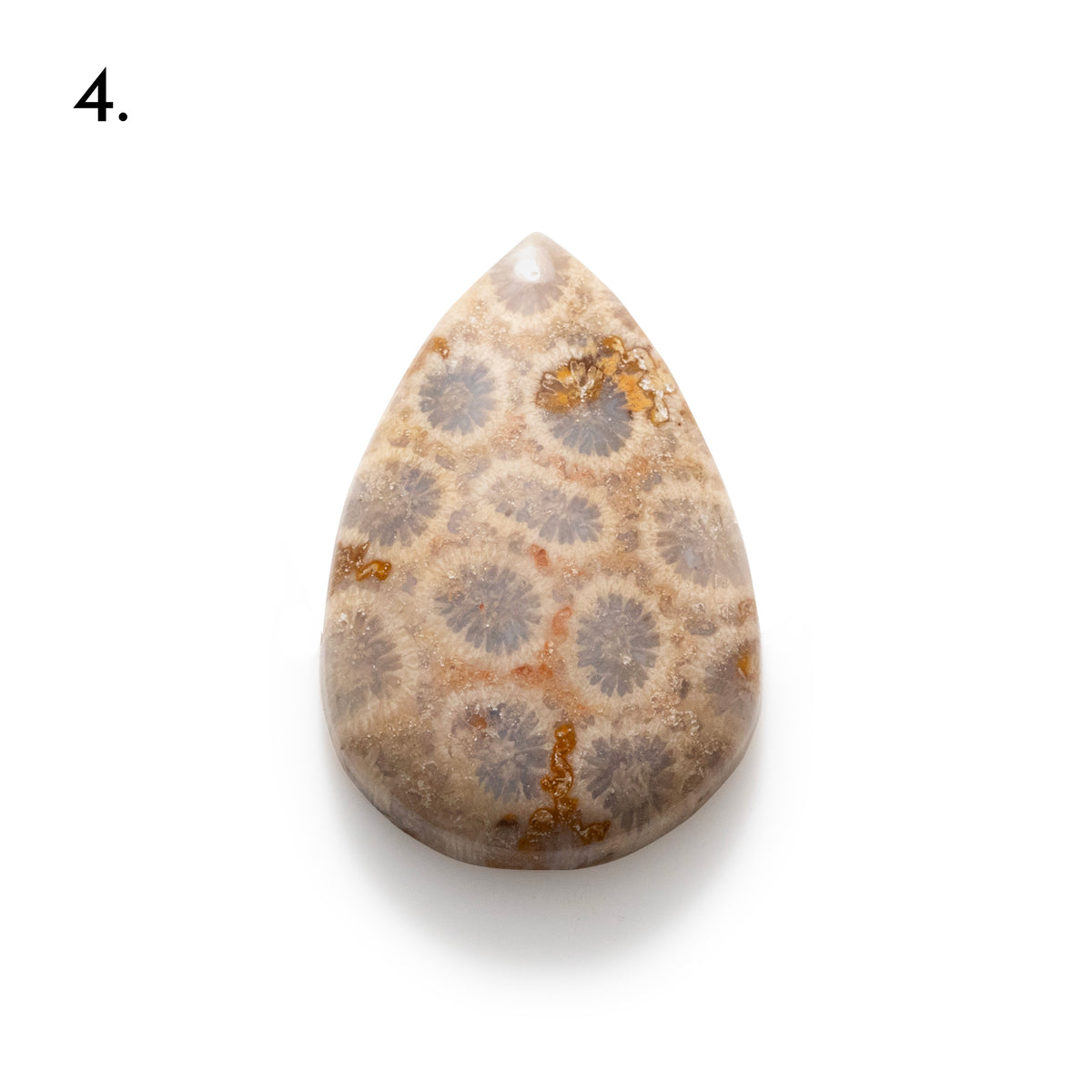 Fossiled Coral Freeform Cabochons