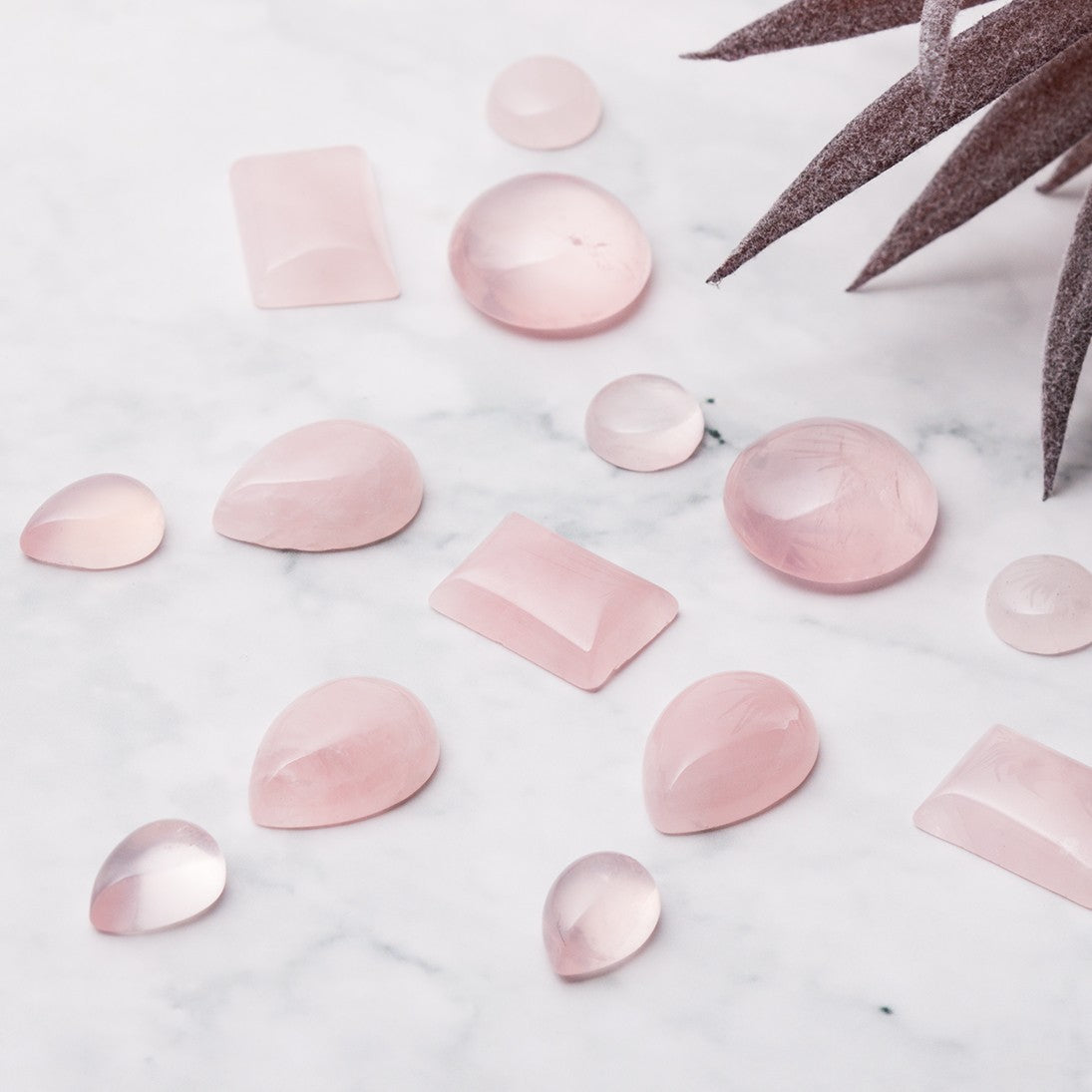 Rose Quartz Cabochons
