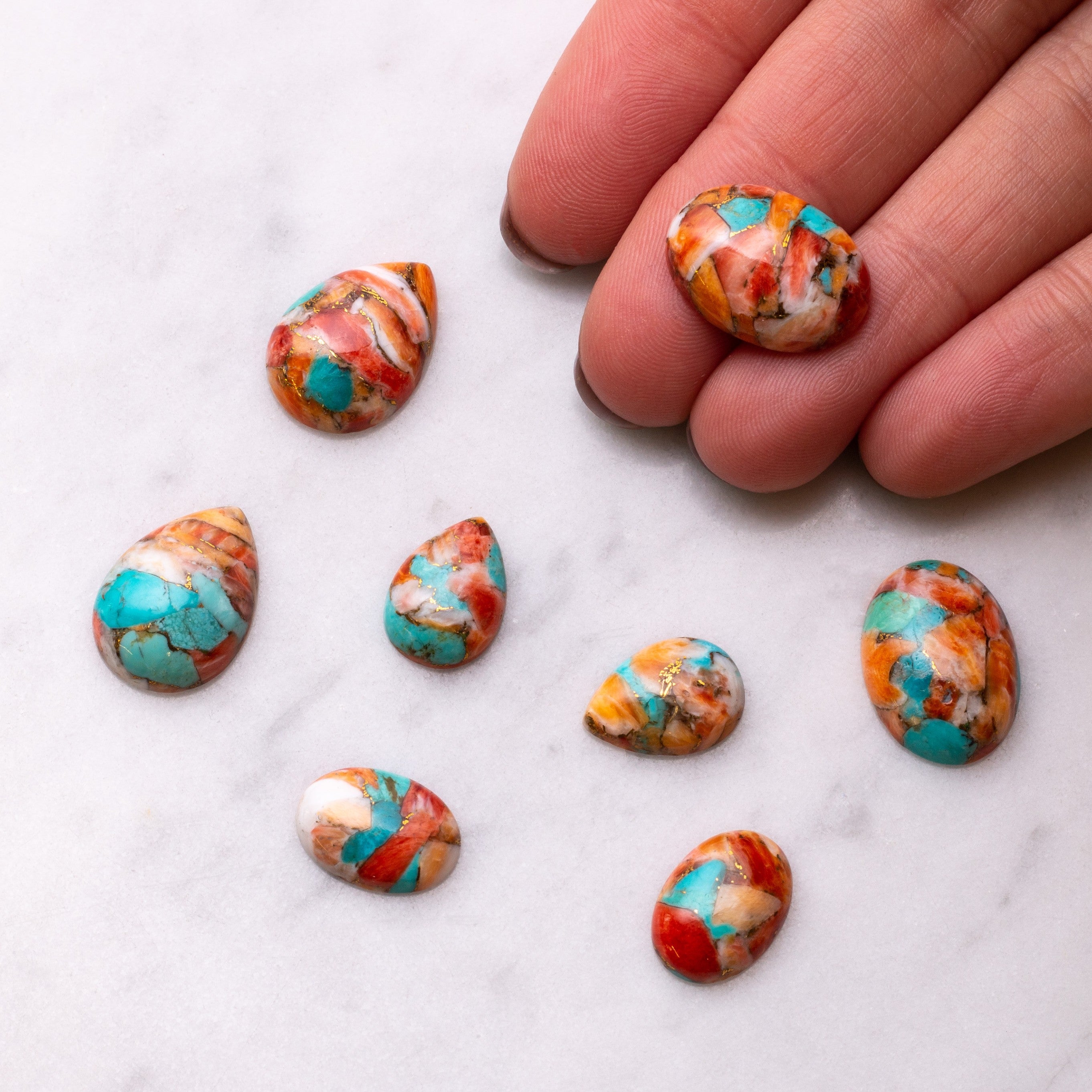 Spiny Oyster Turquoise Cabochons